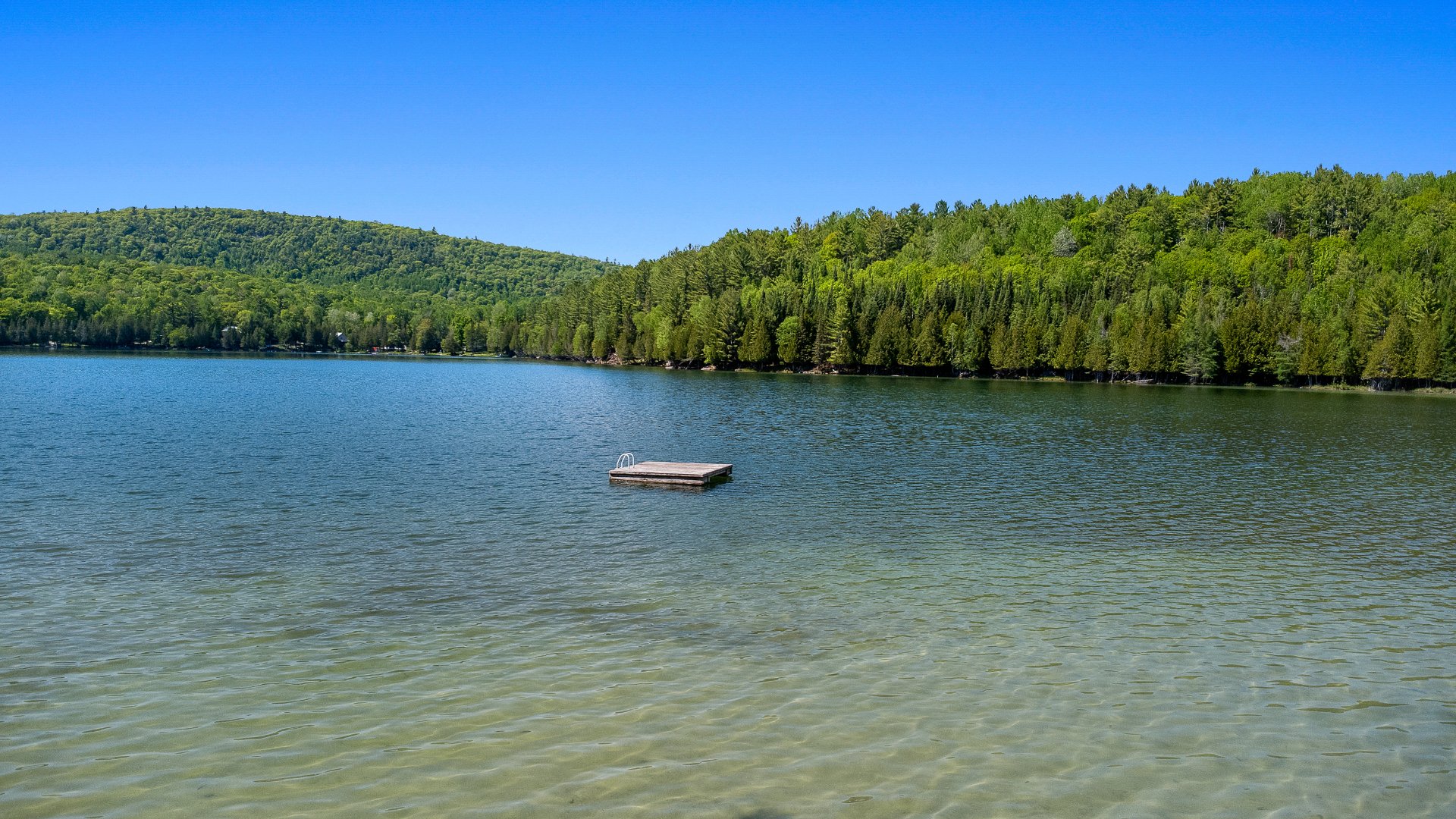 Bord de l'eau