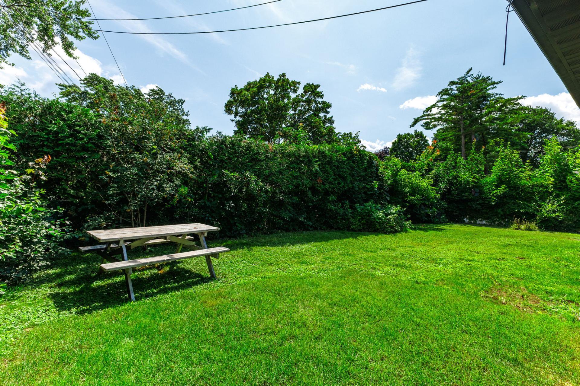 Backyard