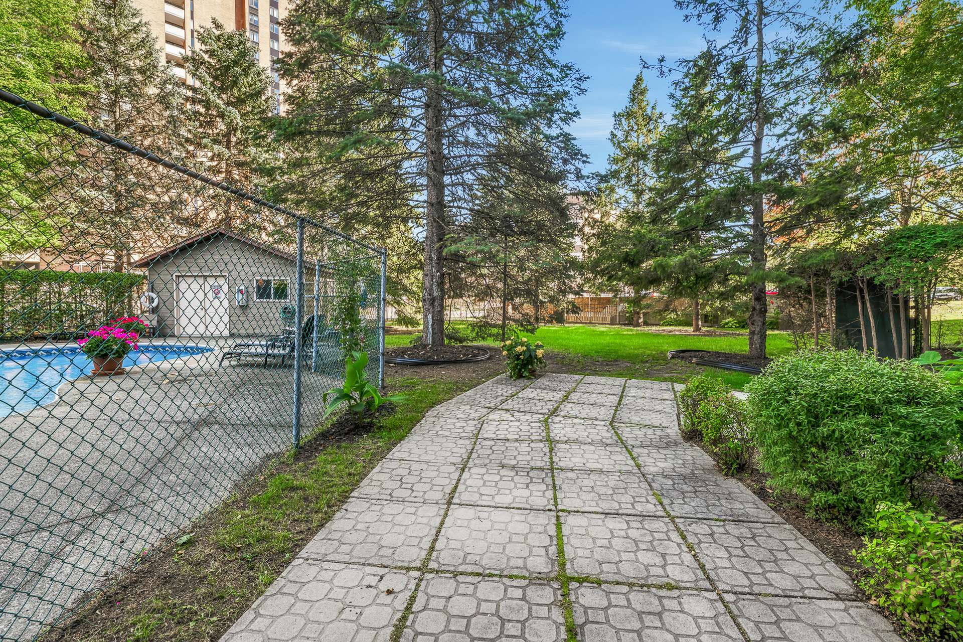 Backyard