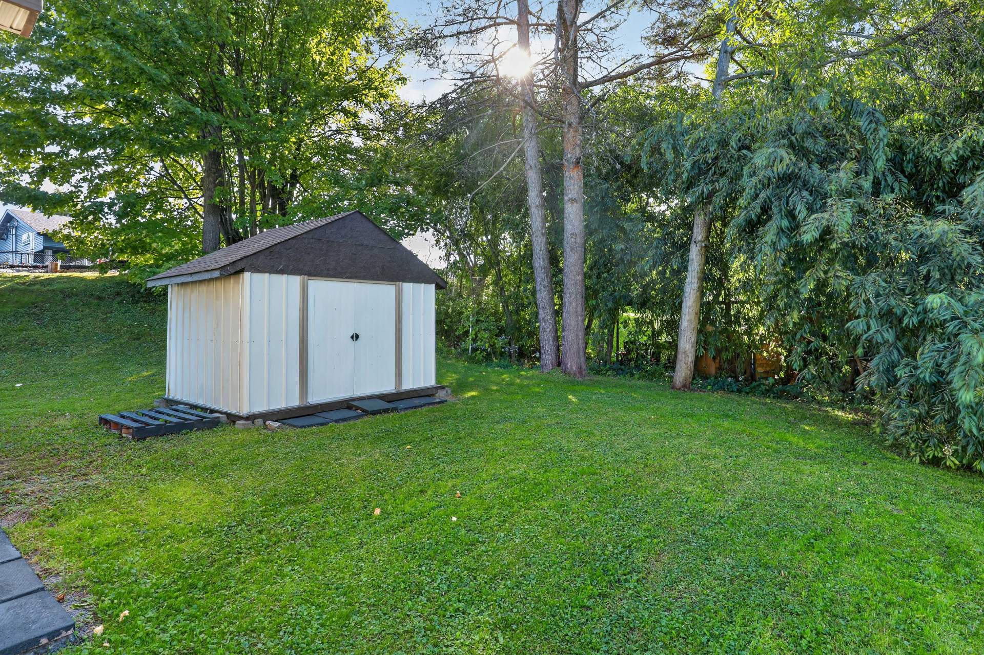 Backyard