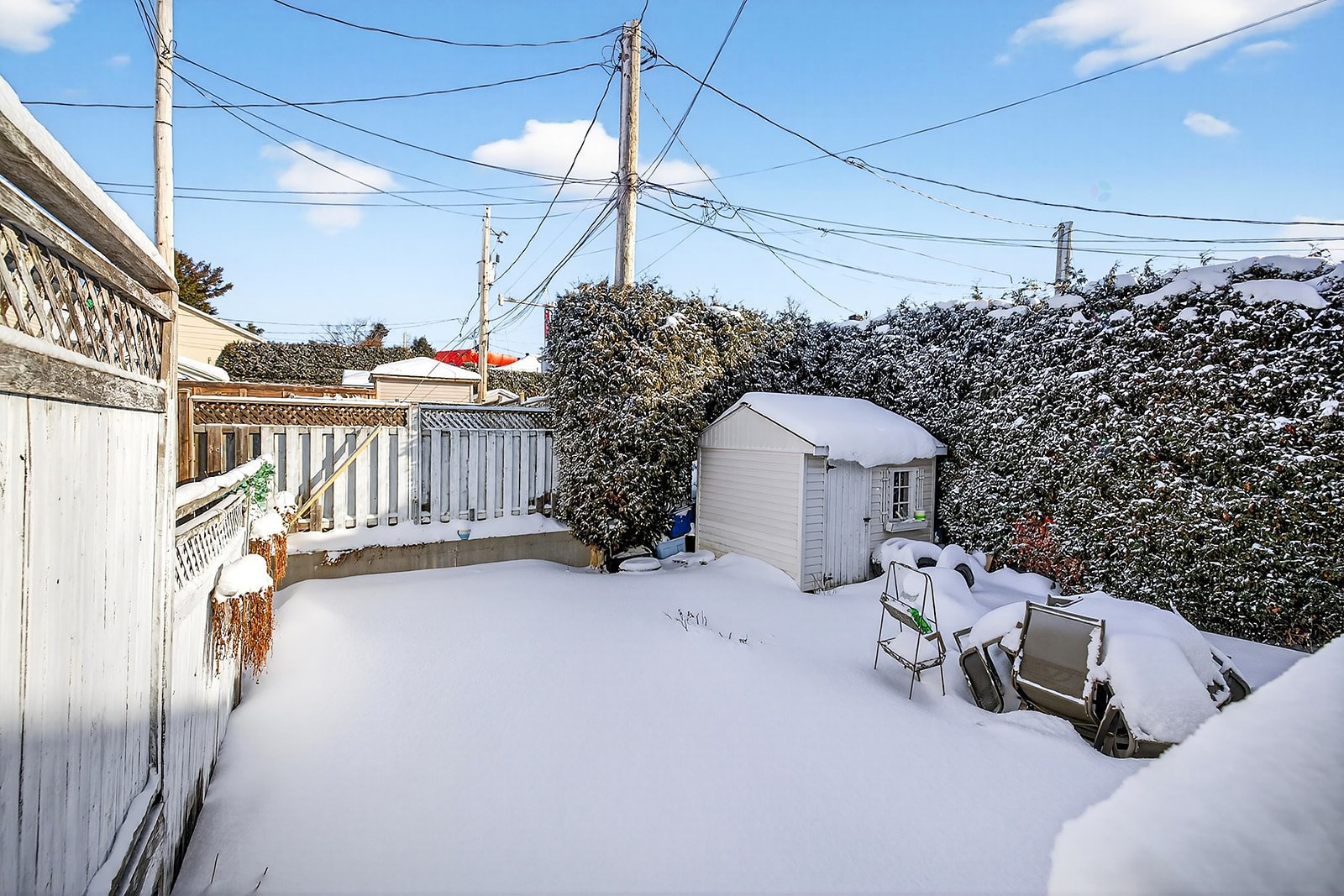 Backyard