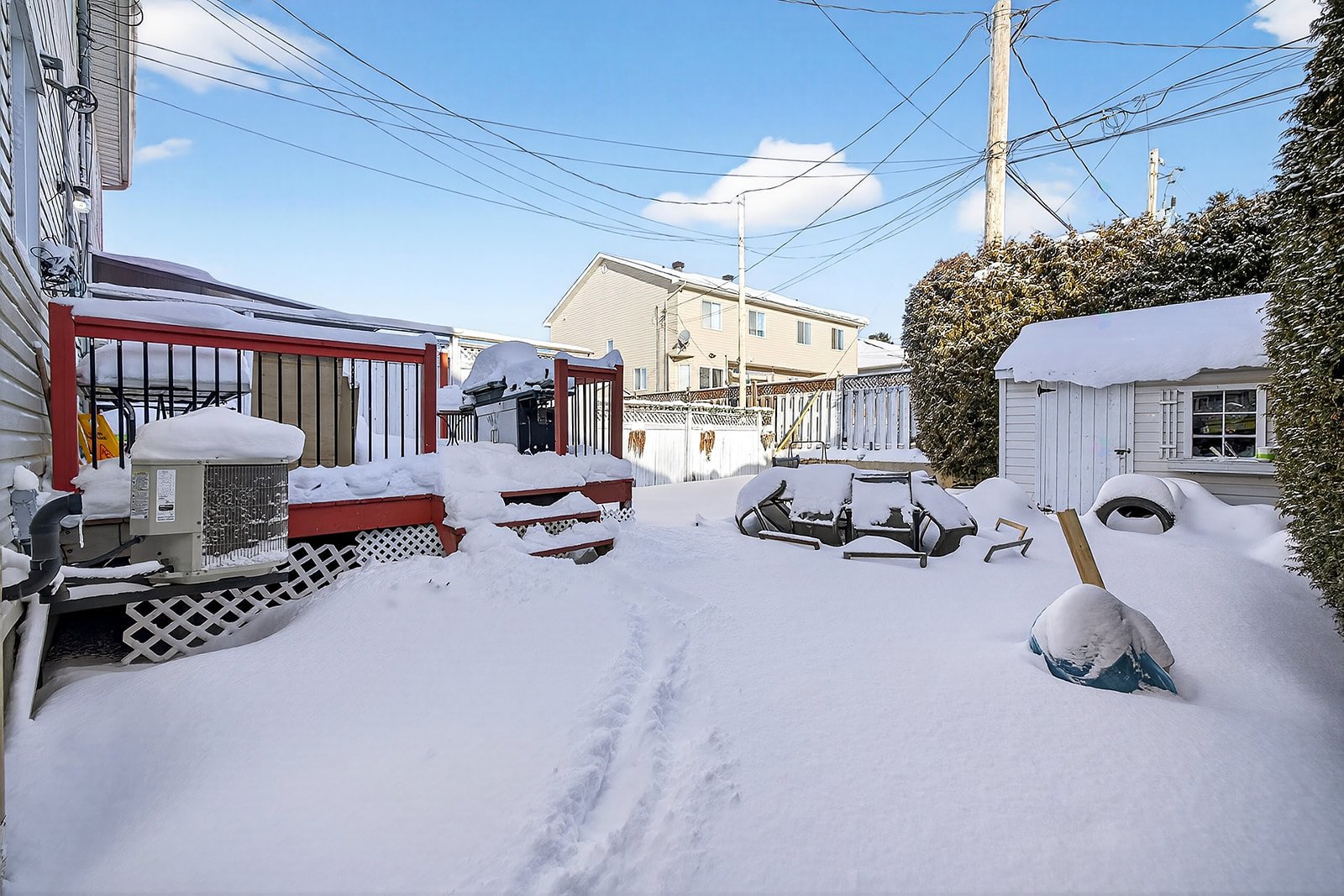 Backyard