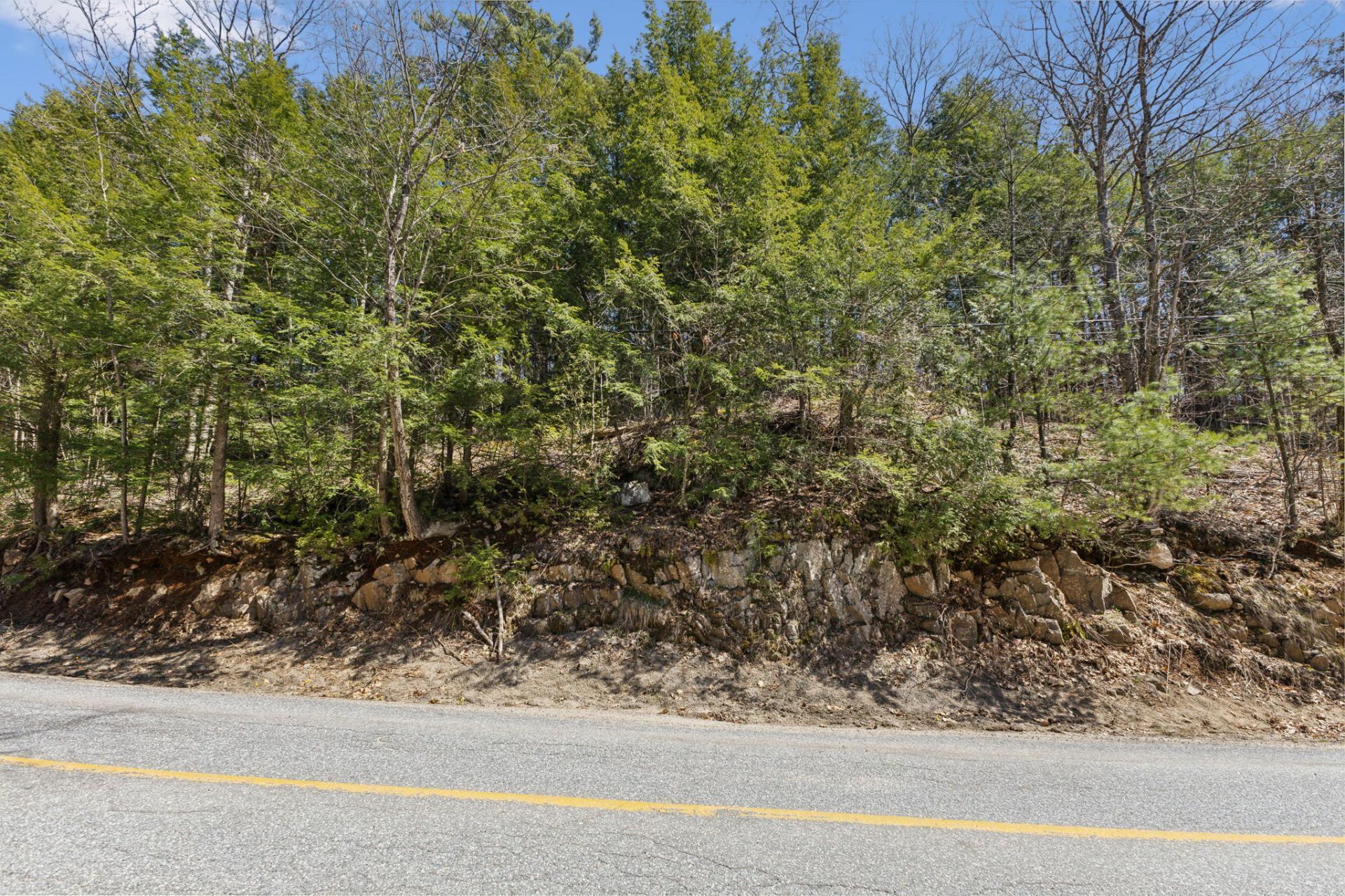 Land/Lot