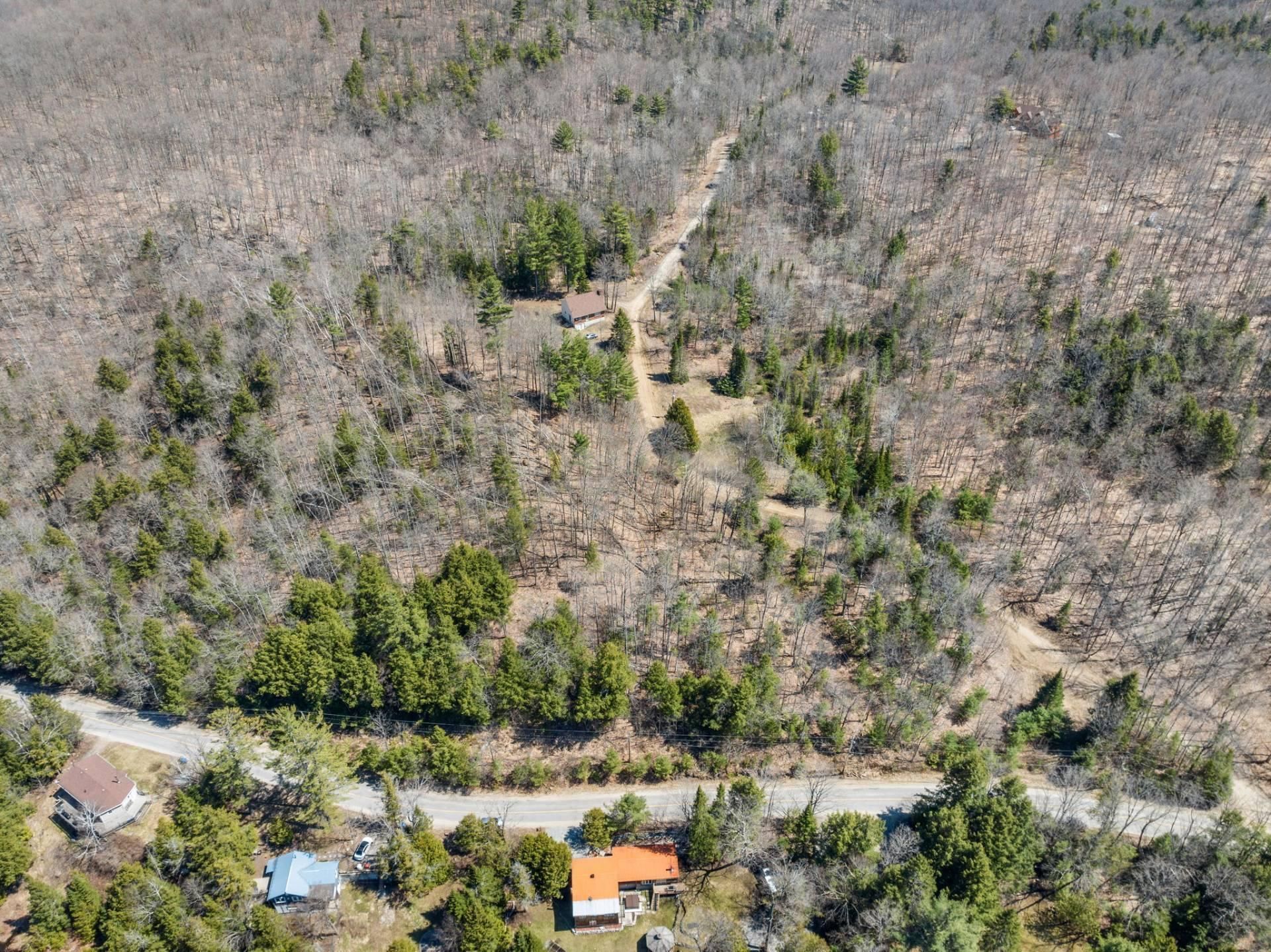 Overall View
