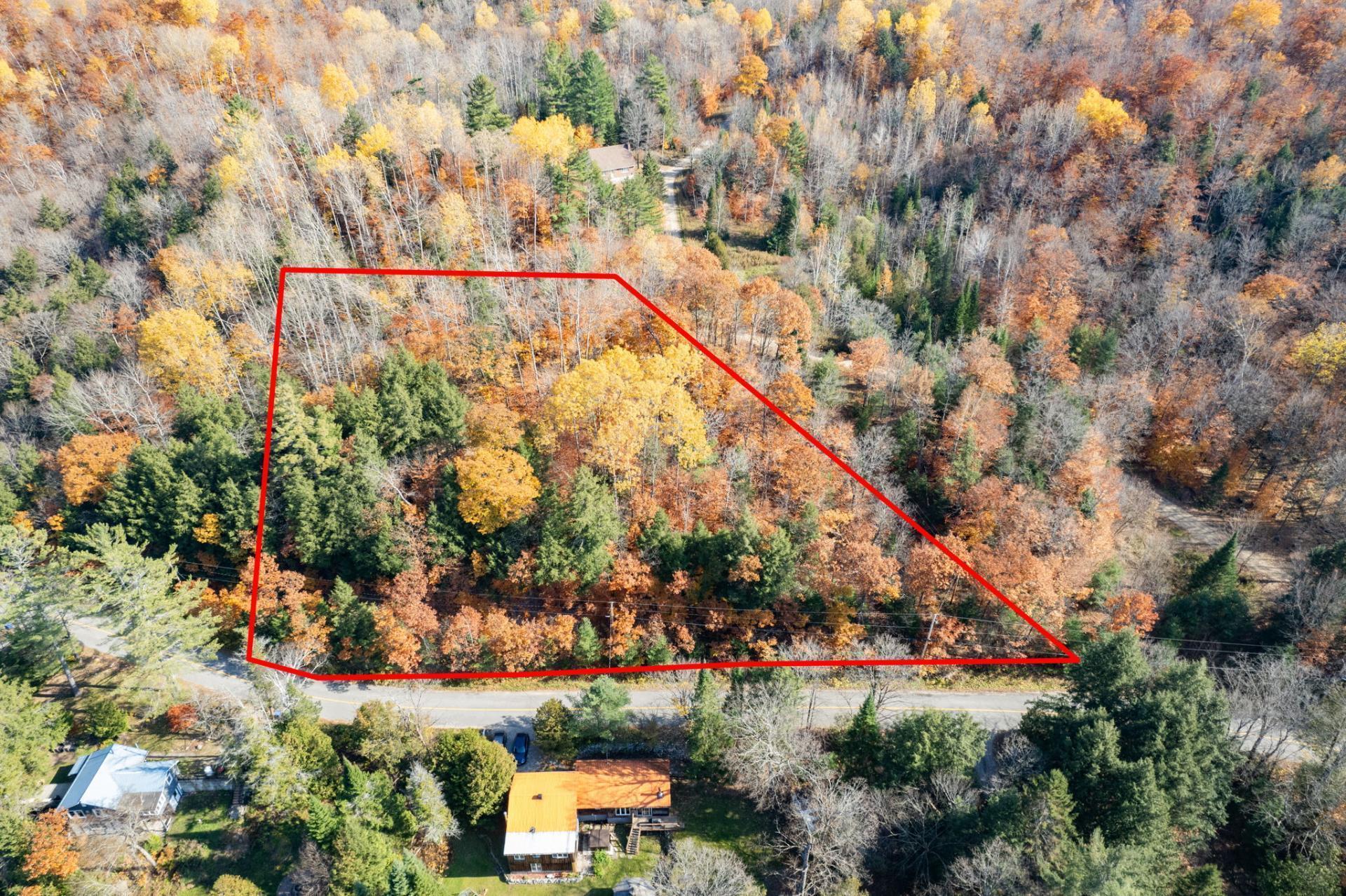 Land/Lot
