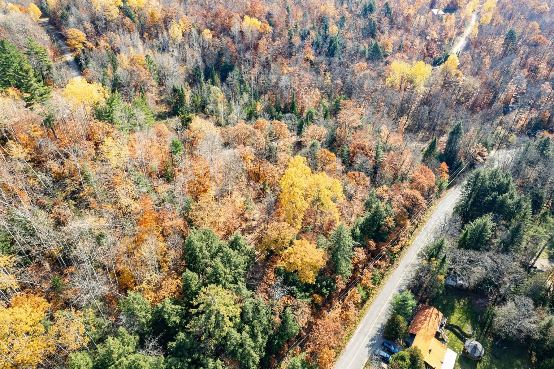 Land/Lot