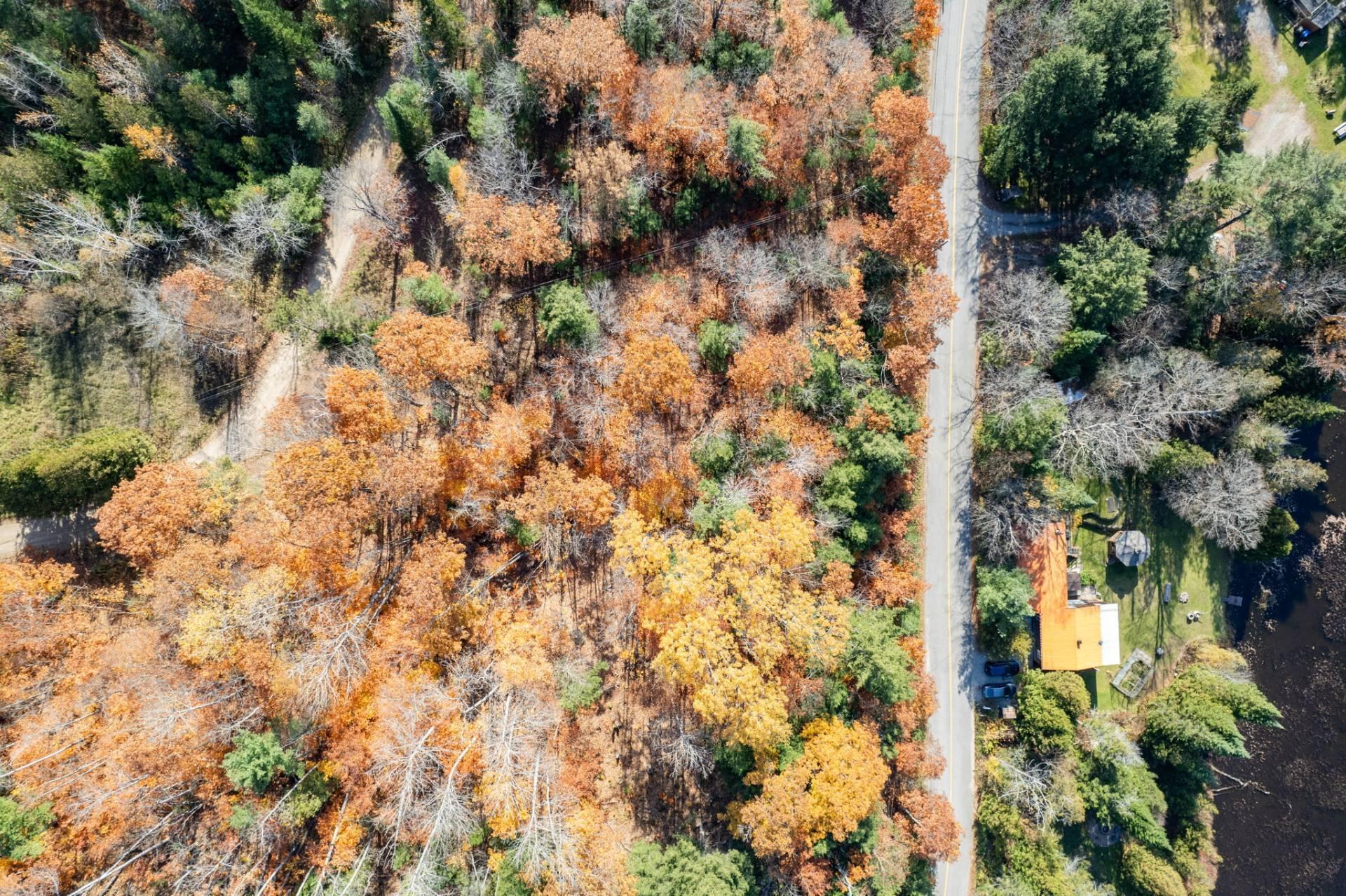 Land/Lot