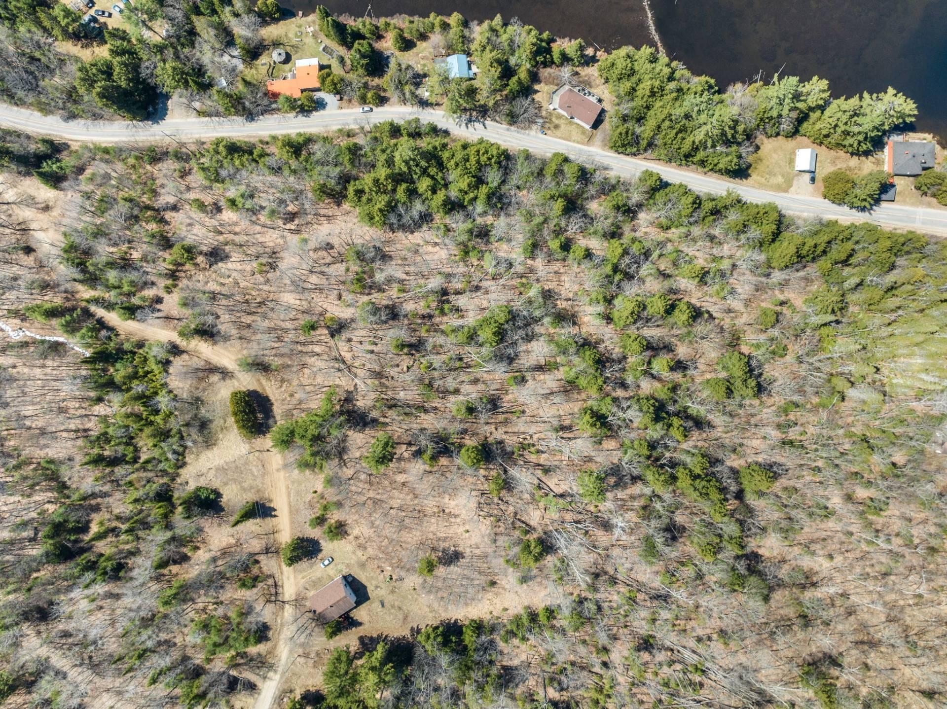 Overall View