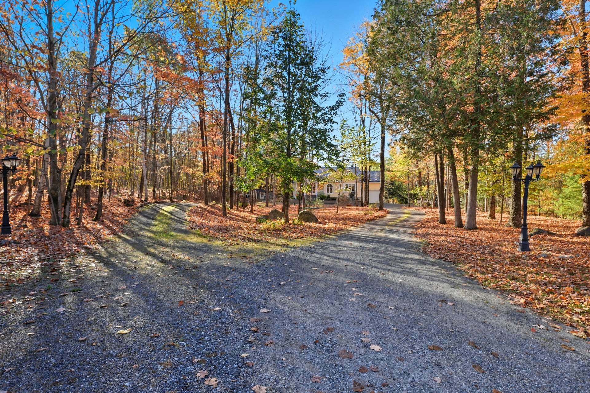 Other - Photo Fall 2025