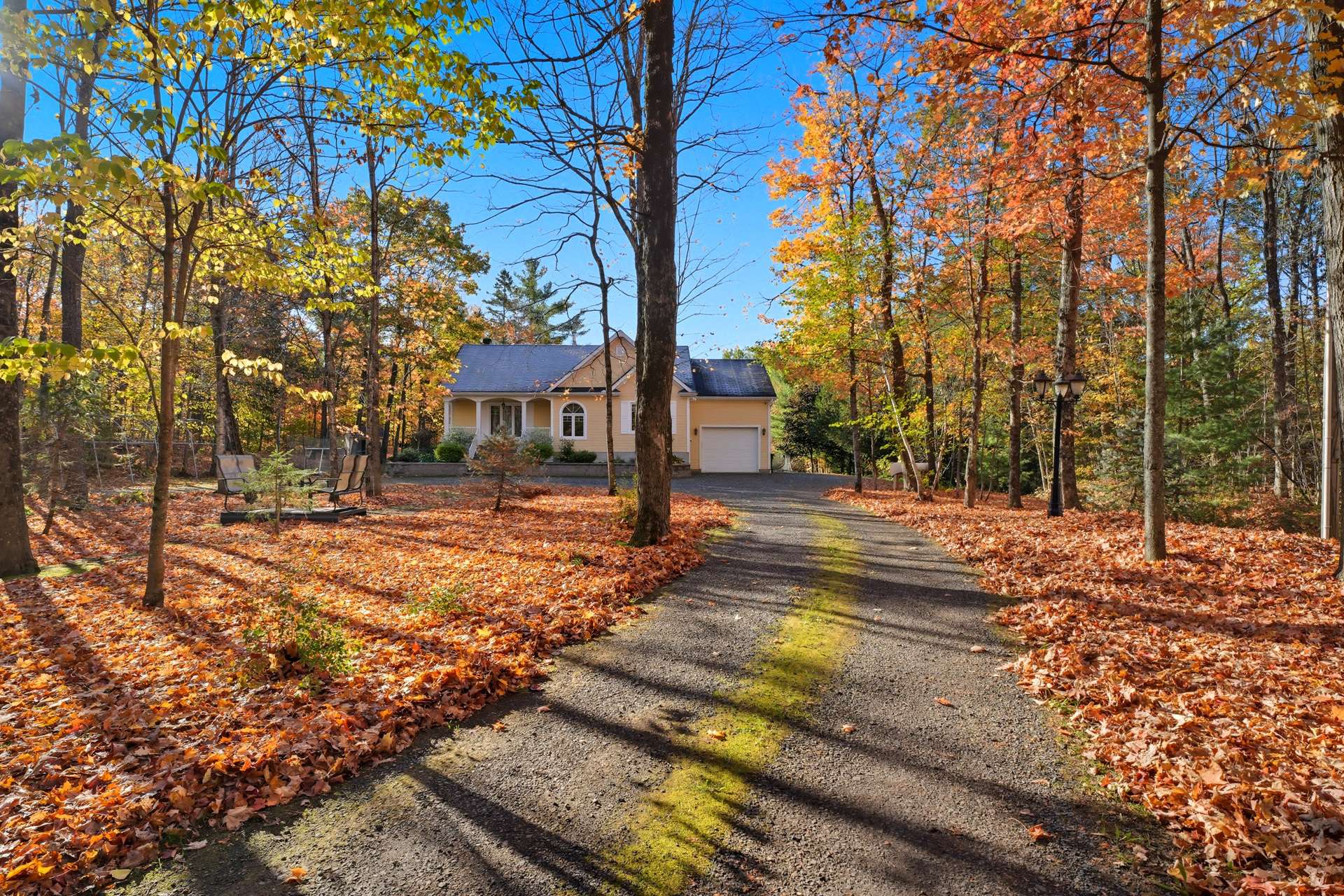 Other - Photo Fall 2025