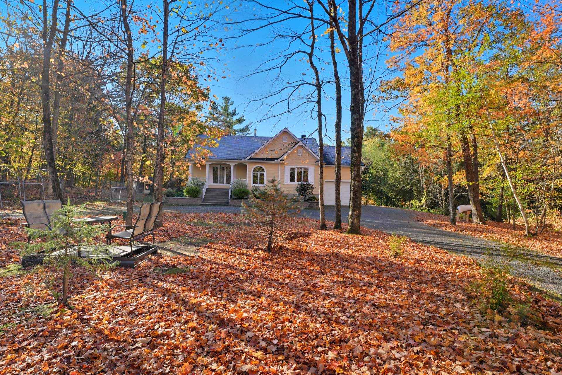 Other - Photo Fall 2025