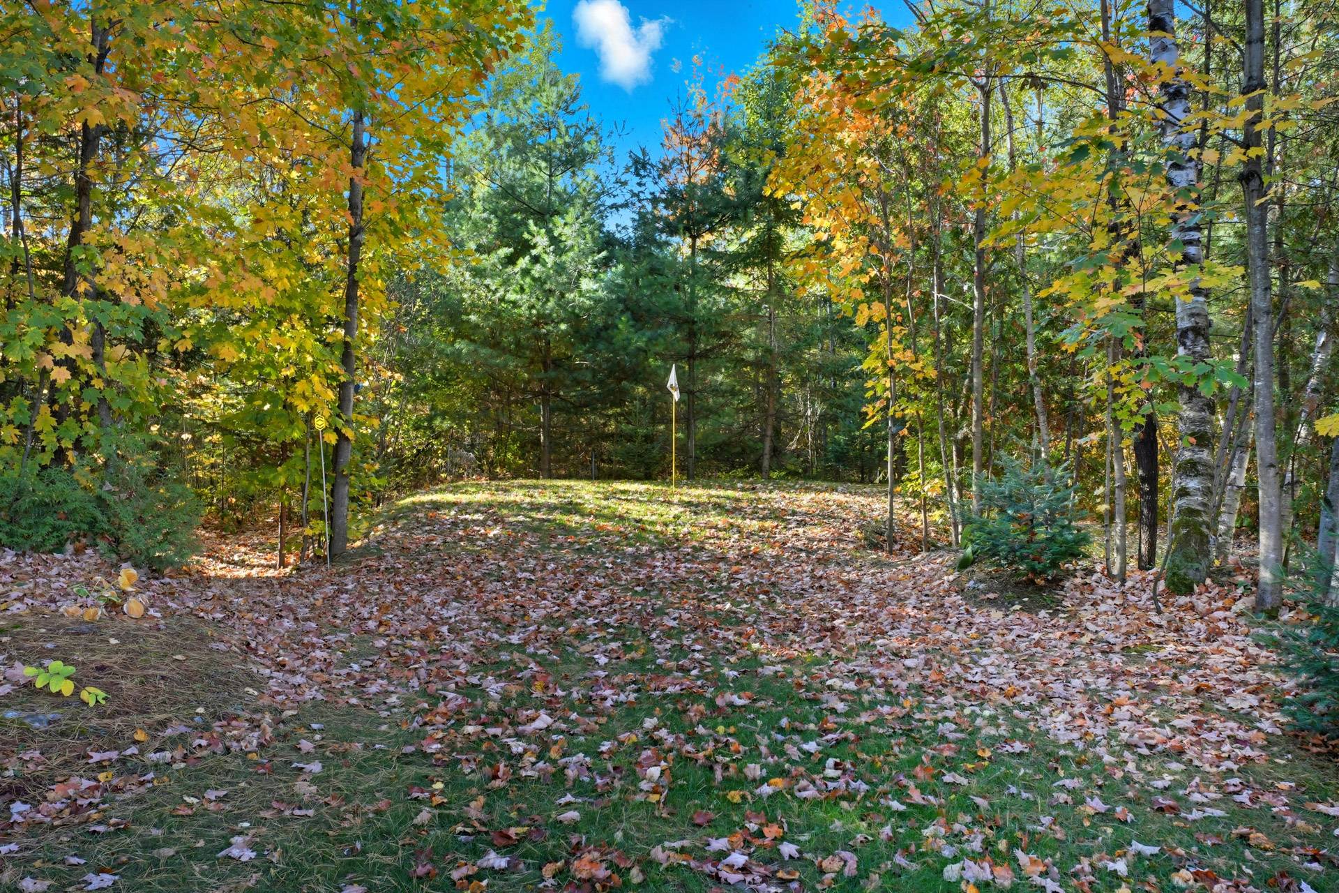 Other - Photo Fall 2025