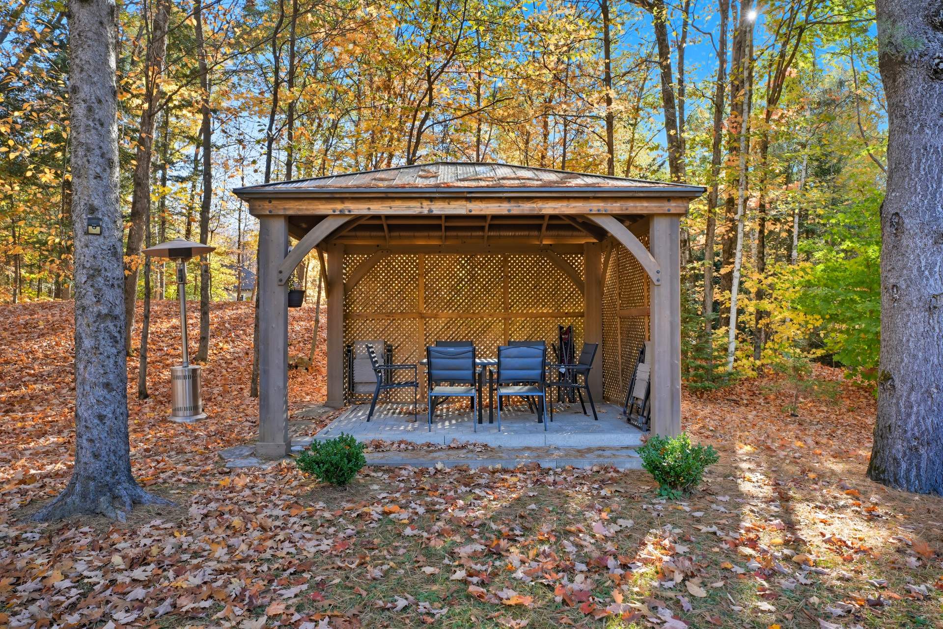 Other - Photo Fall 2025