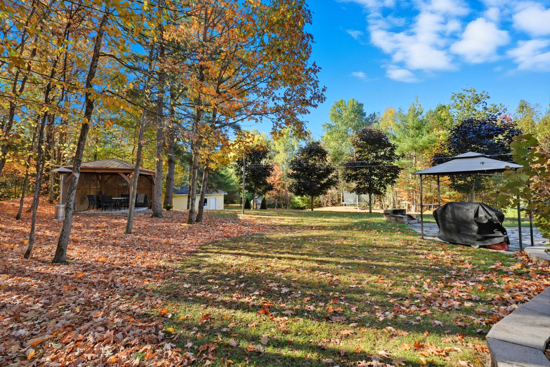 Other - Photo Fall 2025