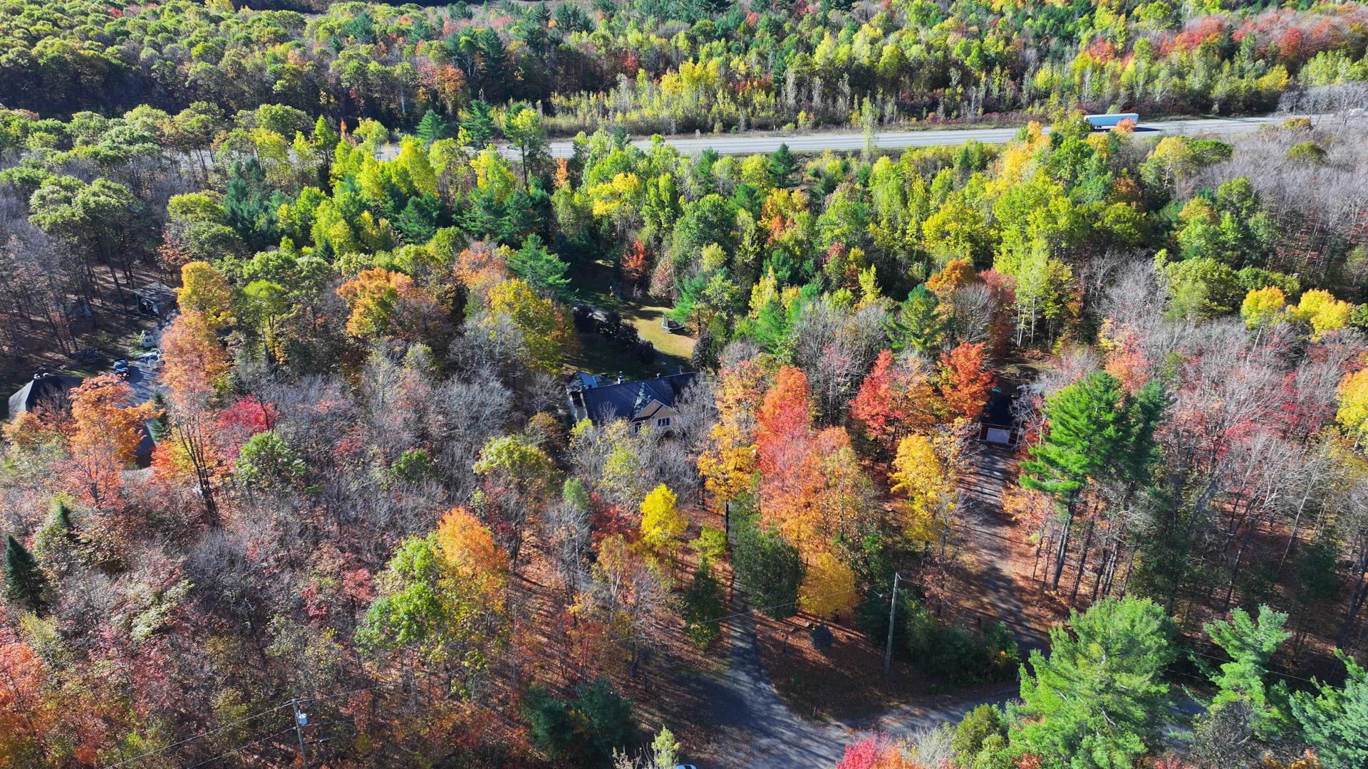 Other - Photo Fall 2025