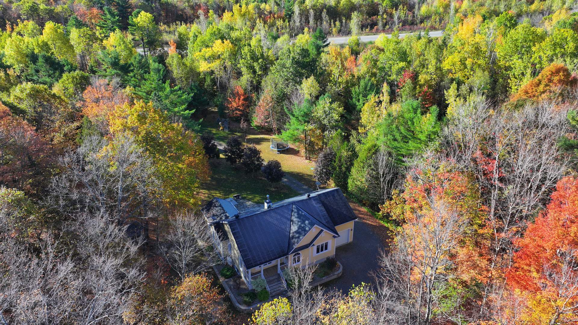 Other - Photo Fall 2025