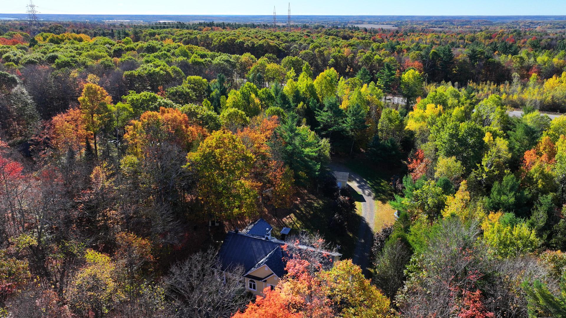 Other - Photo Fall 2025