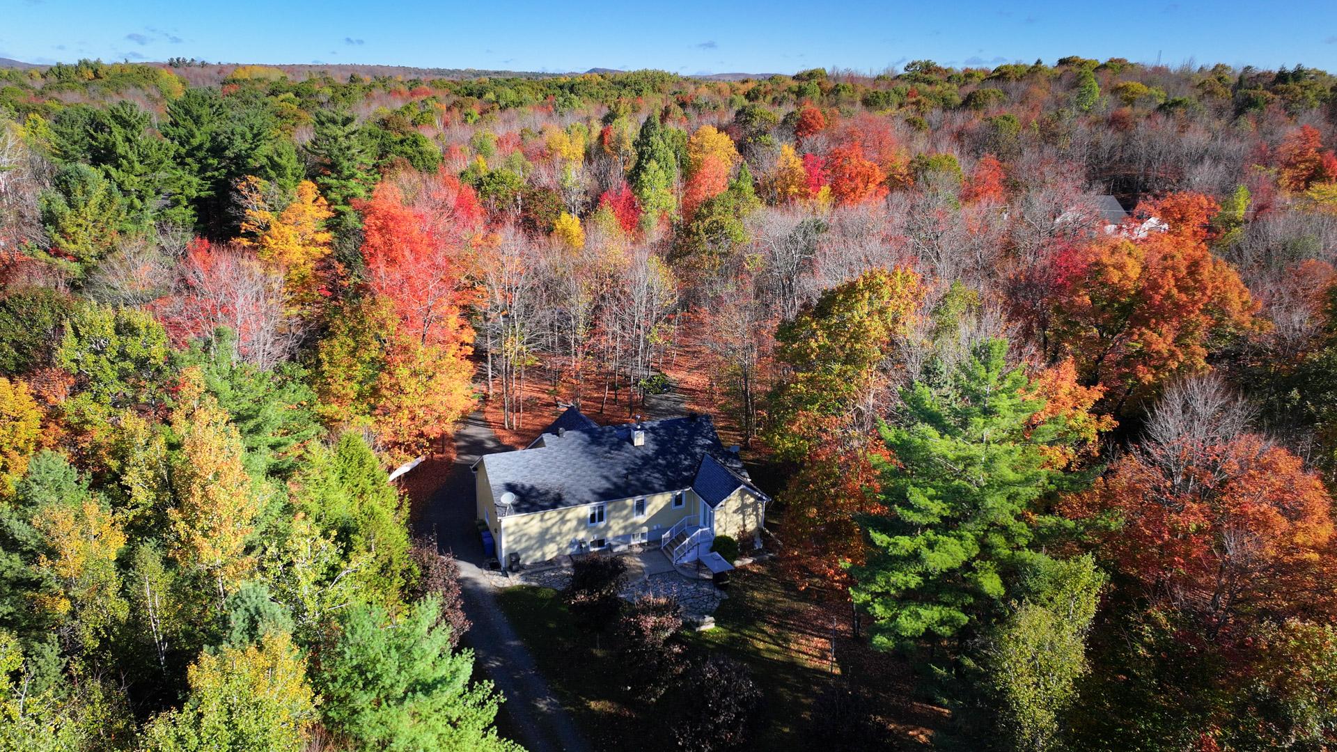 Other - Photo Fall 2025