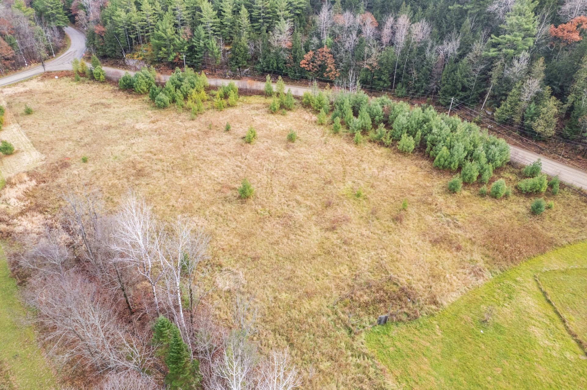 Aerial photo
