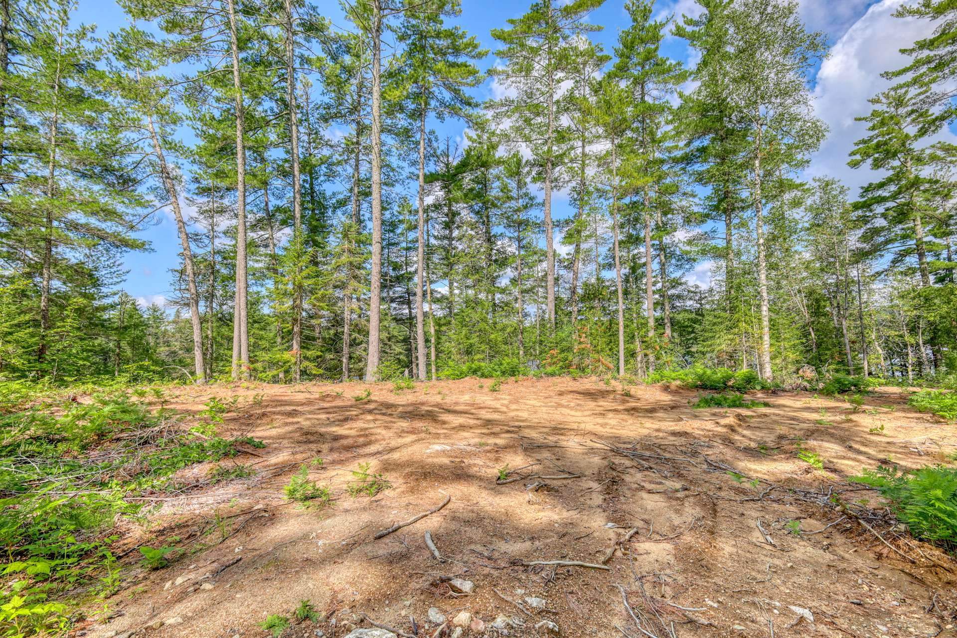 Land/Lot