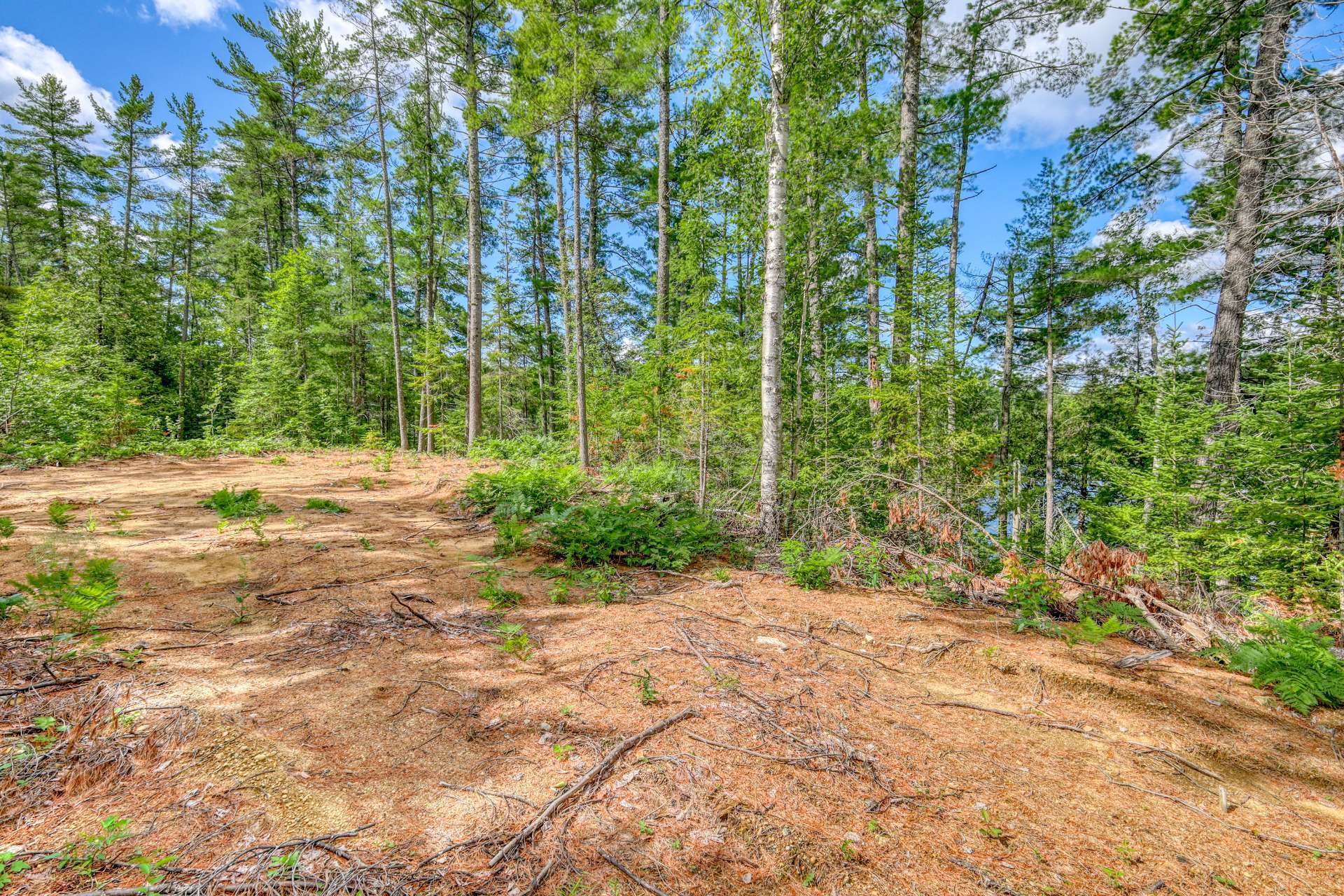 Land/Lot