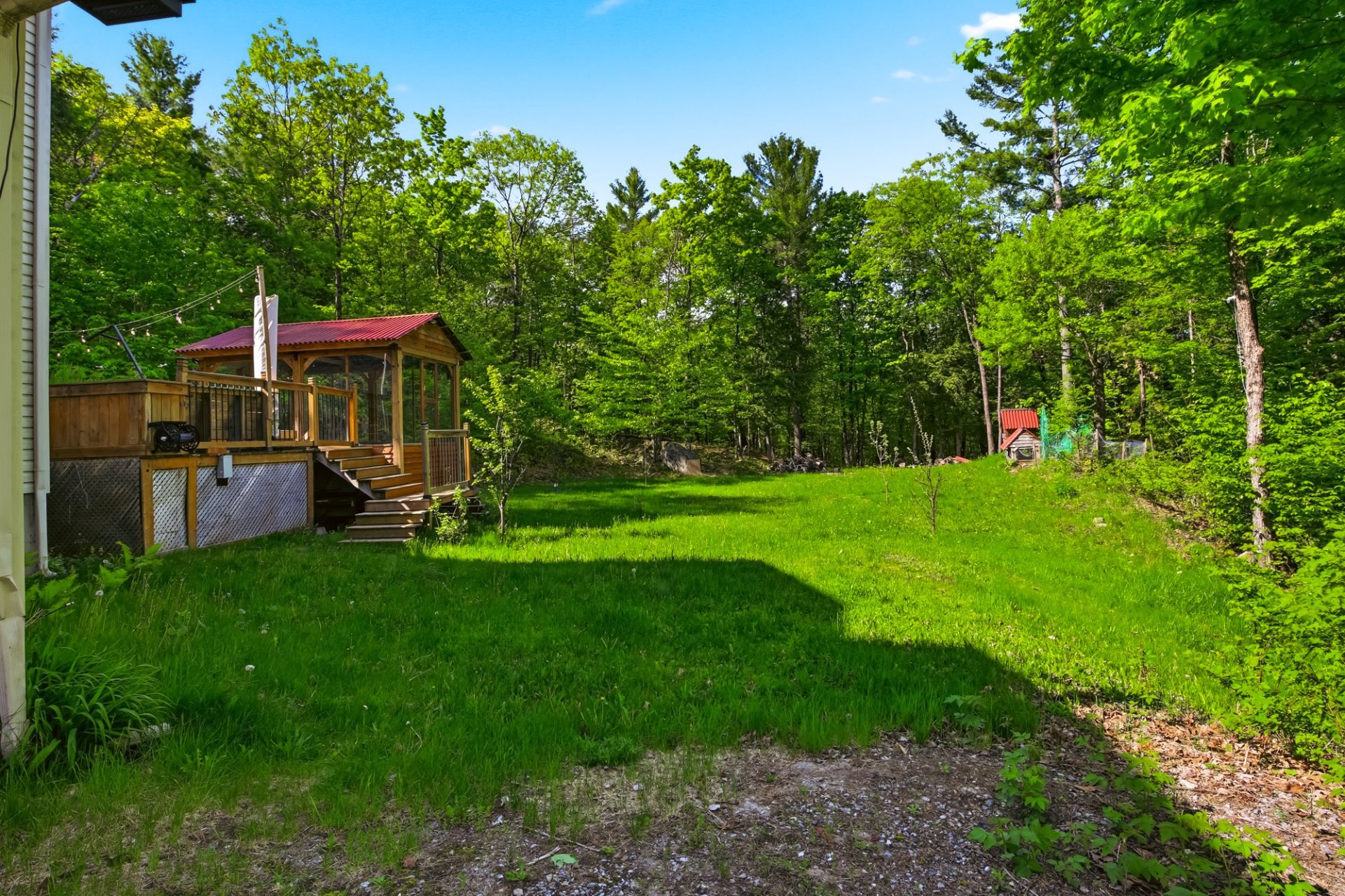 Backyard