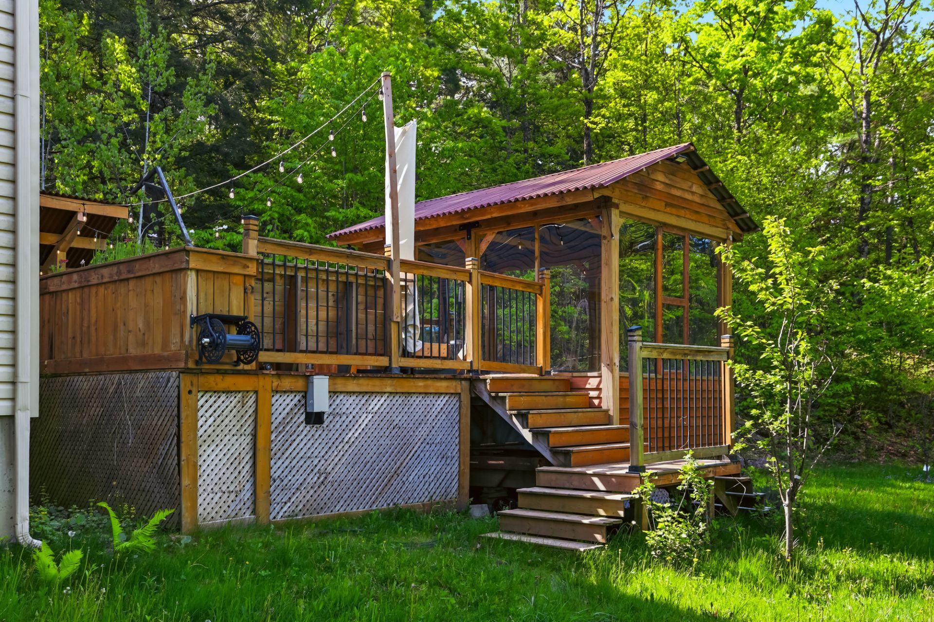 Backyard