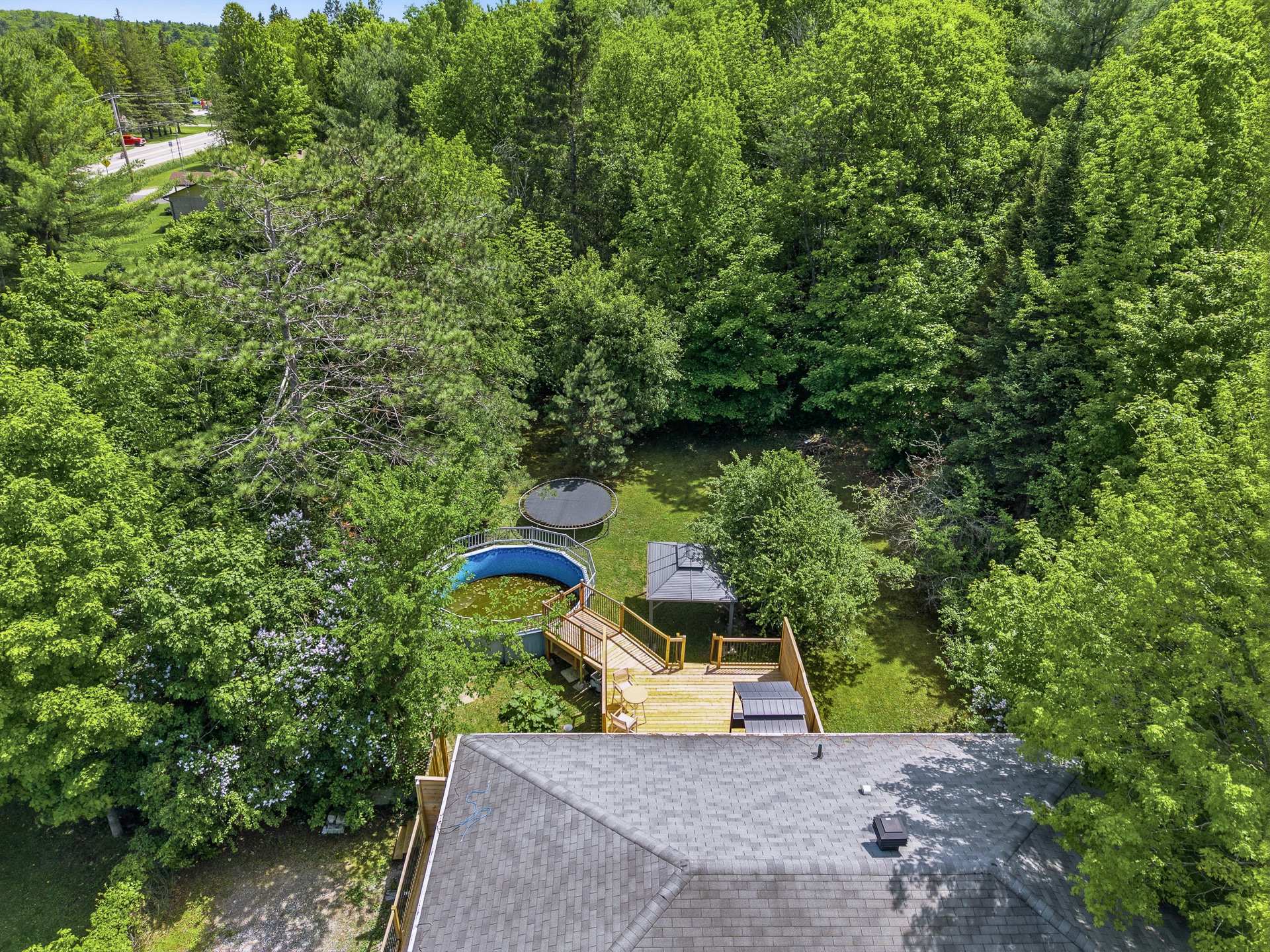 Backyard - Wooded, private