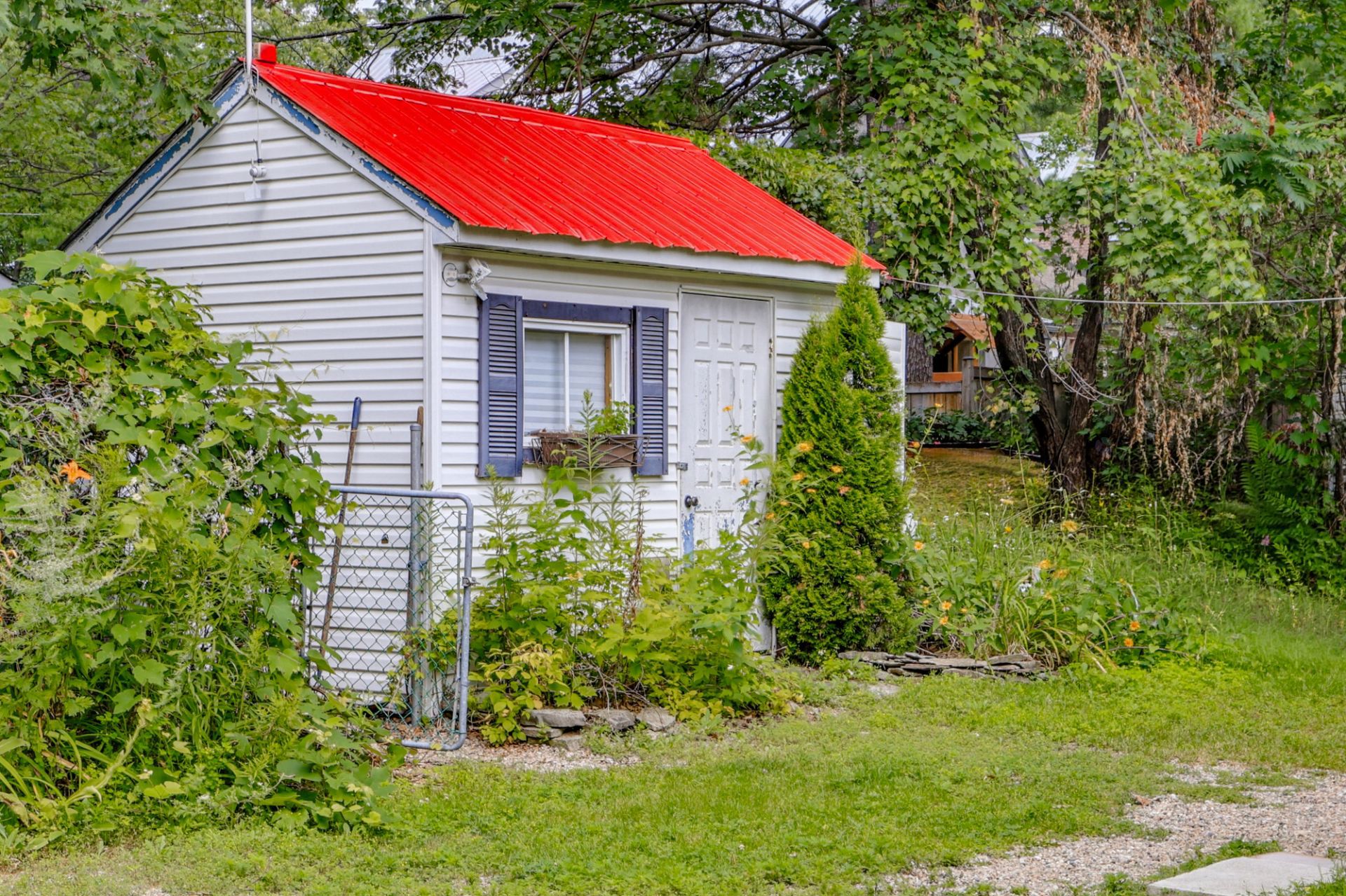 Shed