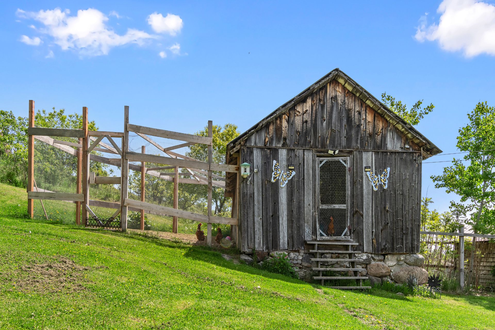 Other - chicken coop