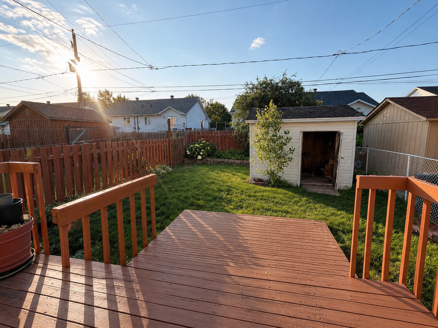 backyard