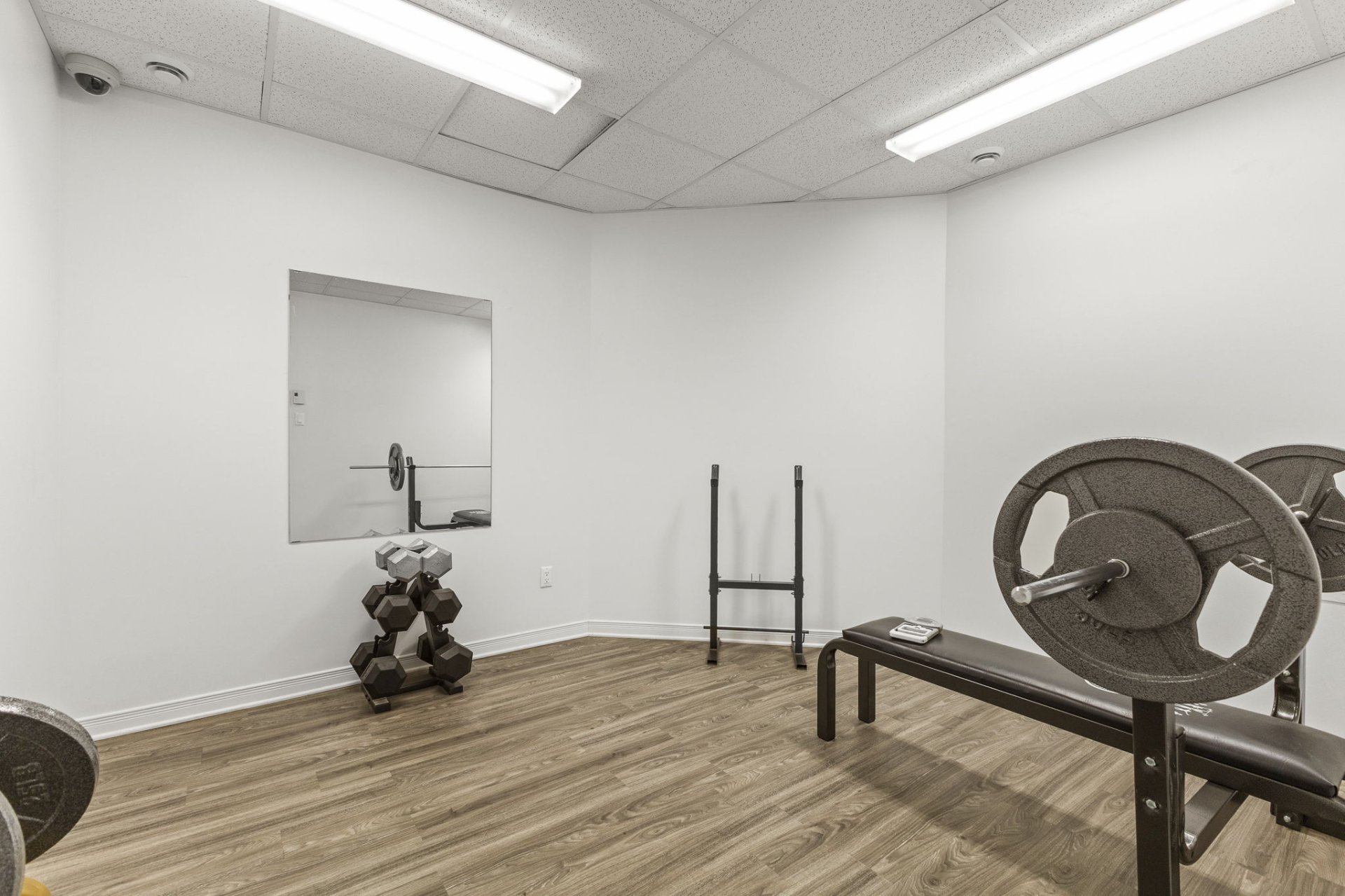 Office - Commercial basement