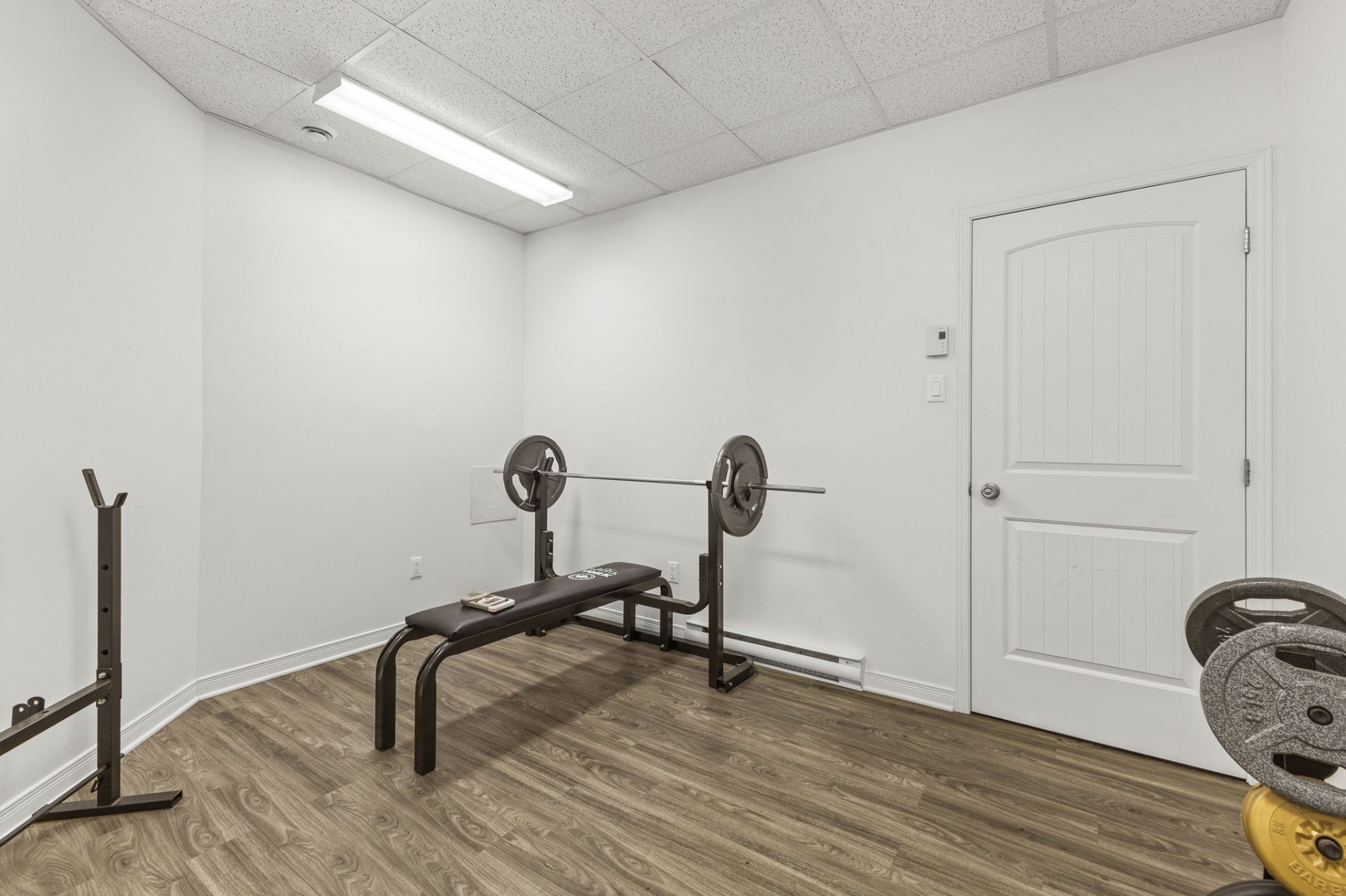 Office - Commercial basement