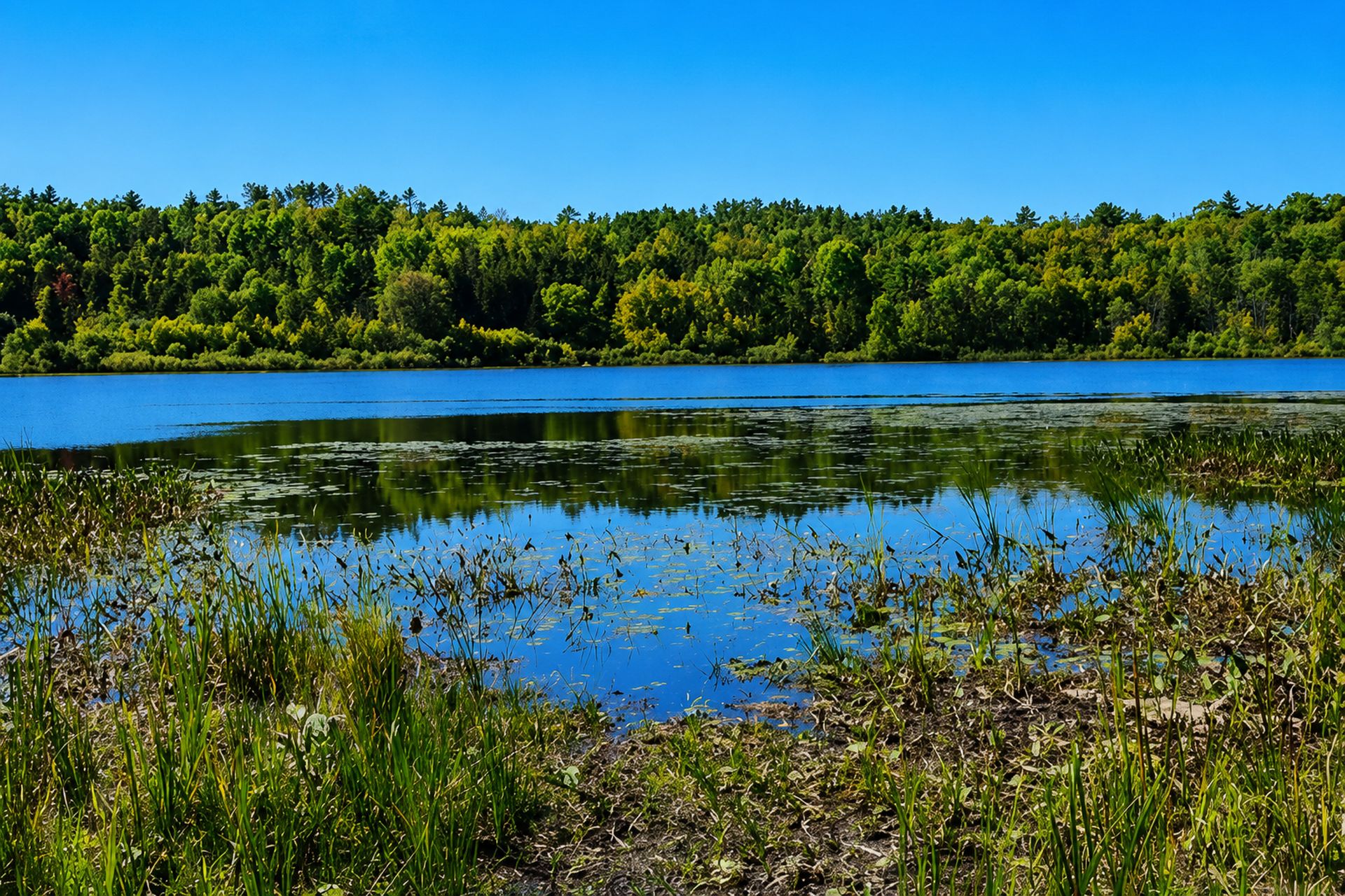 Terre/Terrain