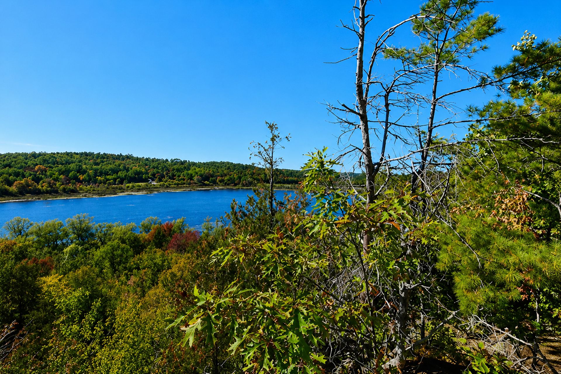 Vue sur l'eau