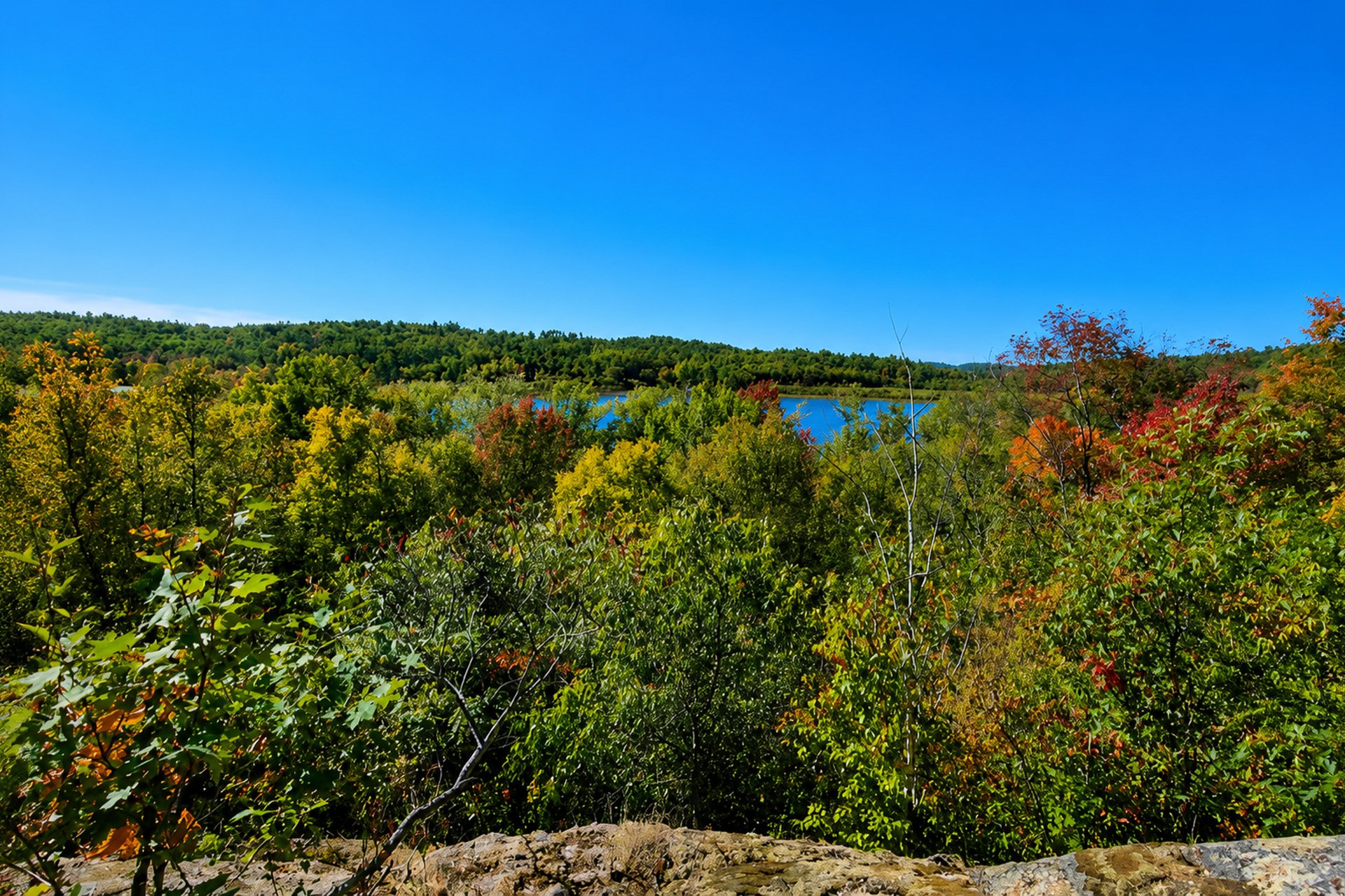 Vue
