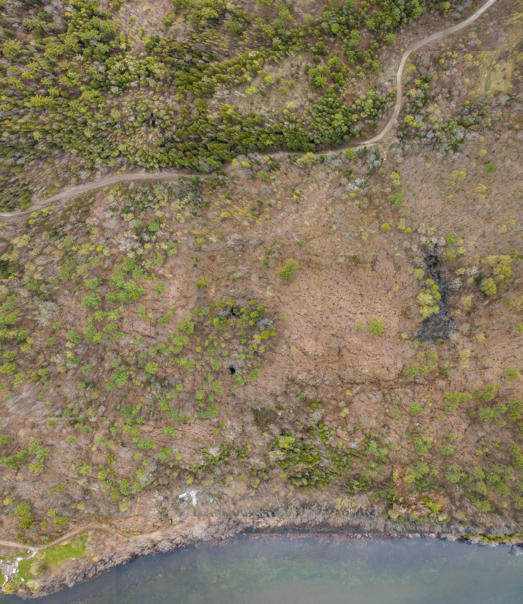 Terre/Terrain