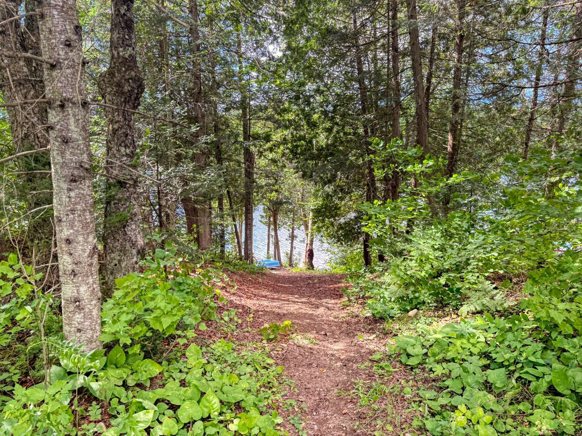 Land/Lot