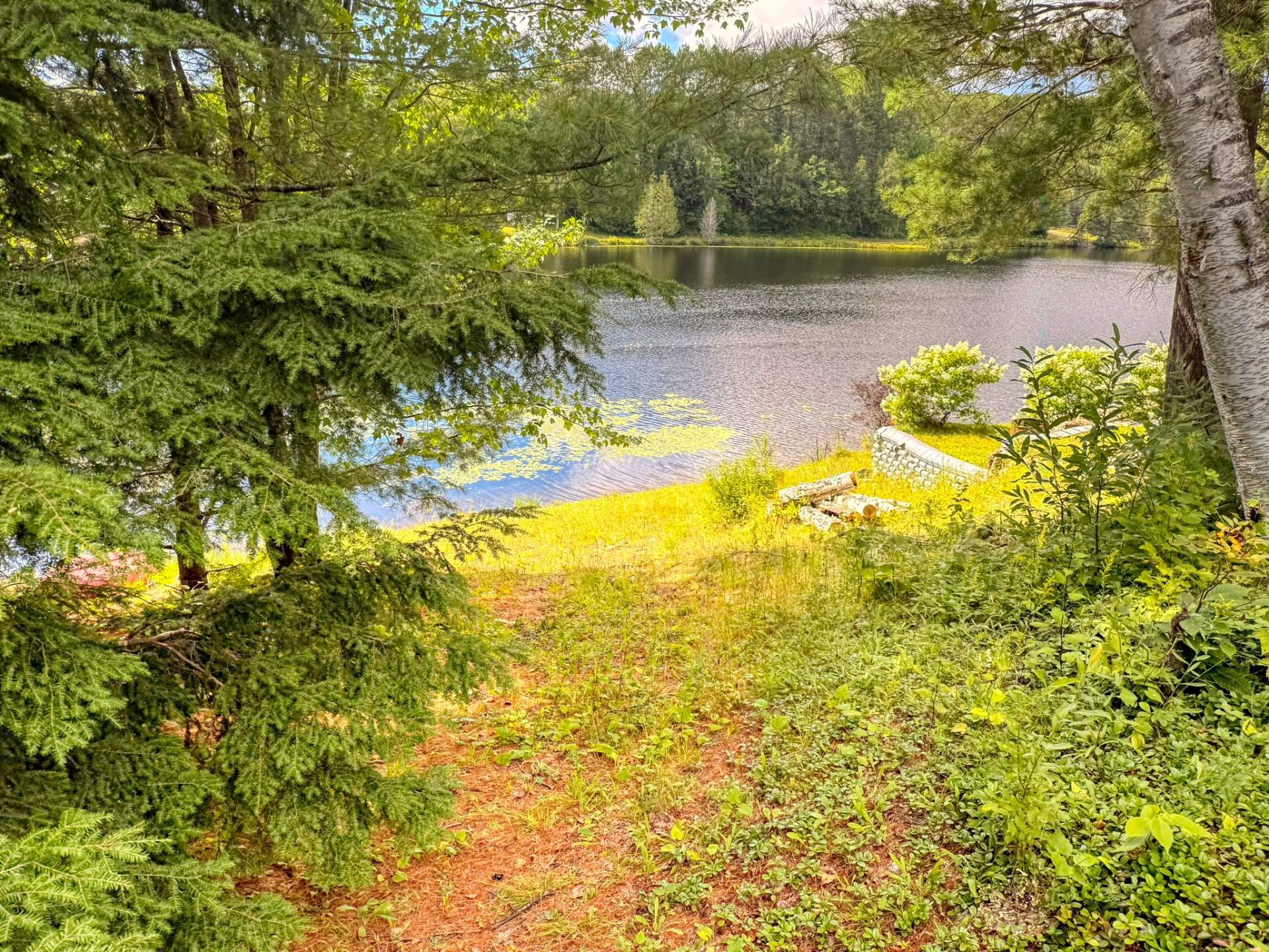 Water view