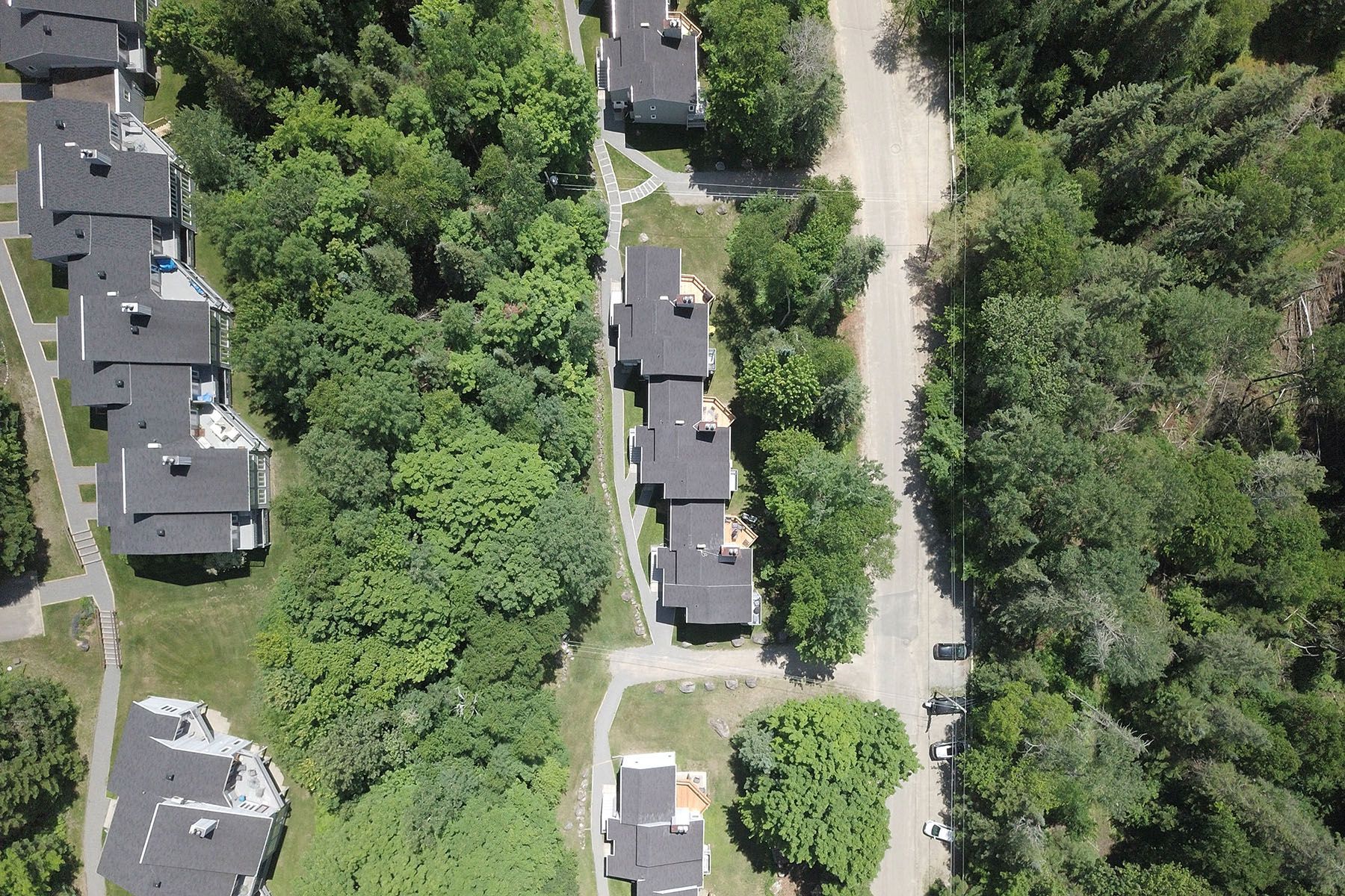 Aerial photo