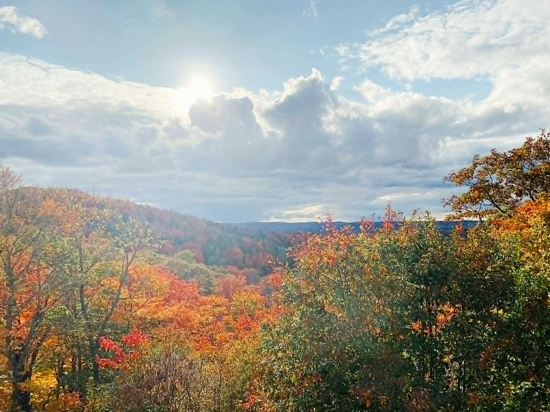 View