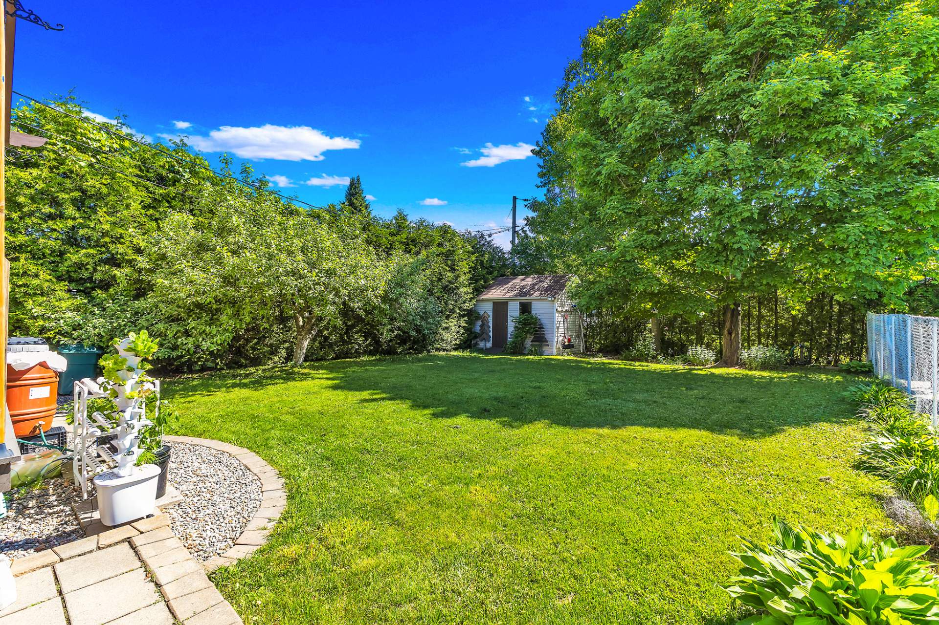 Backyard