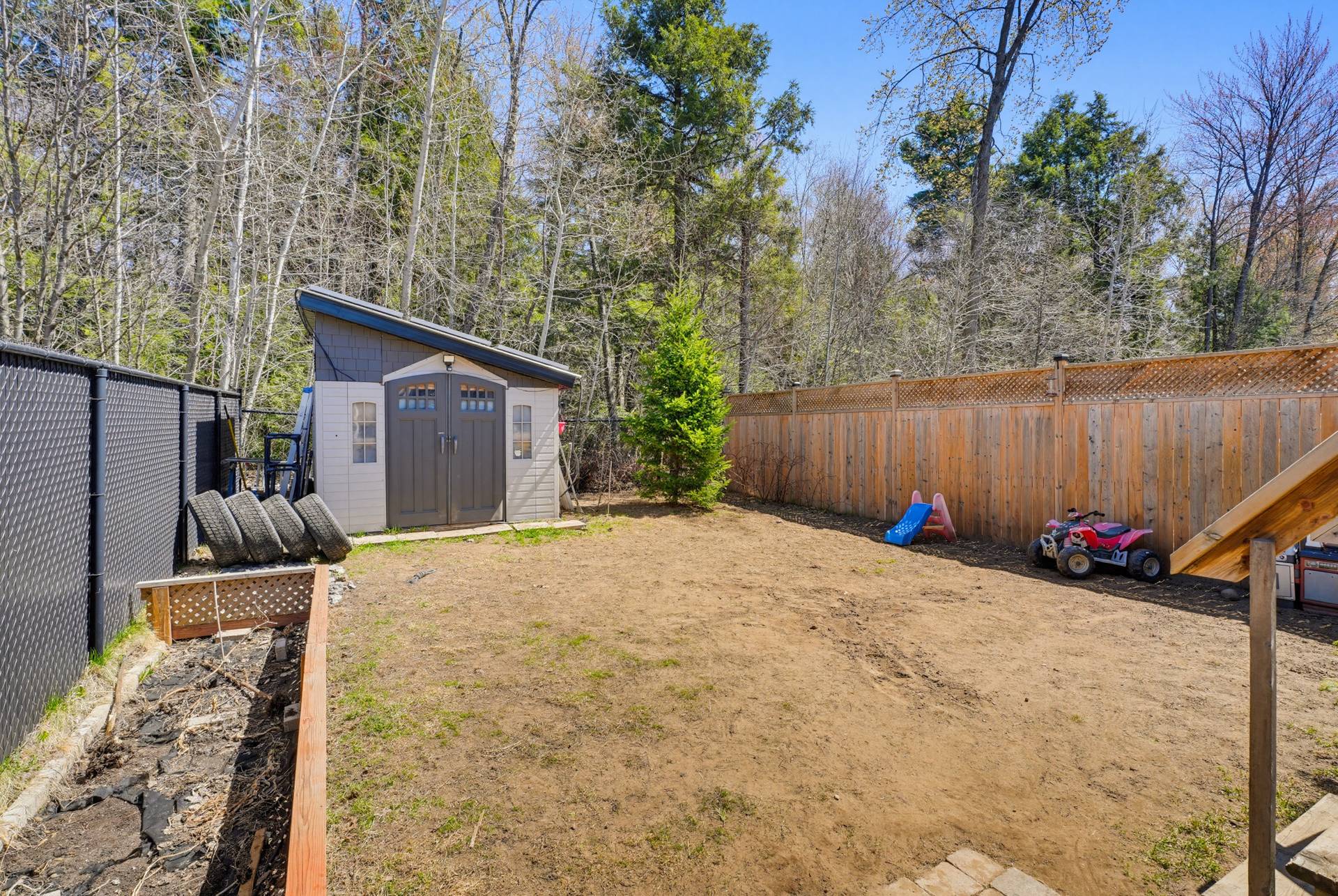 Backyard