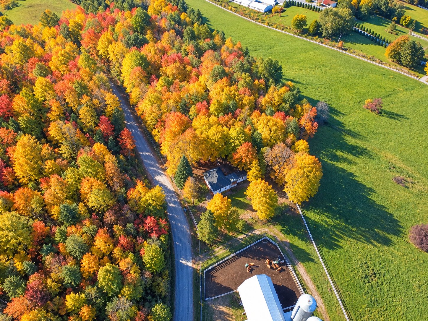 Aerial photo