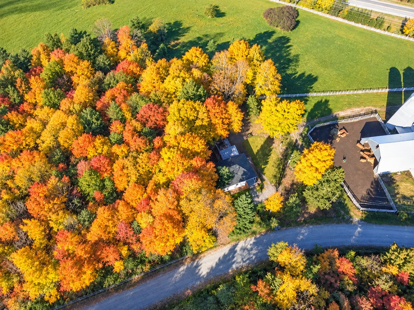 Aerial photo