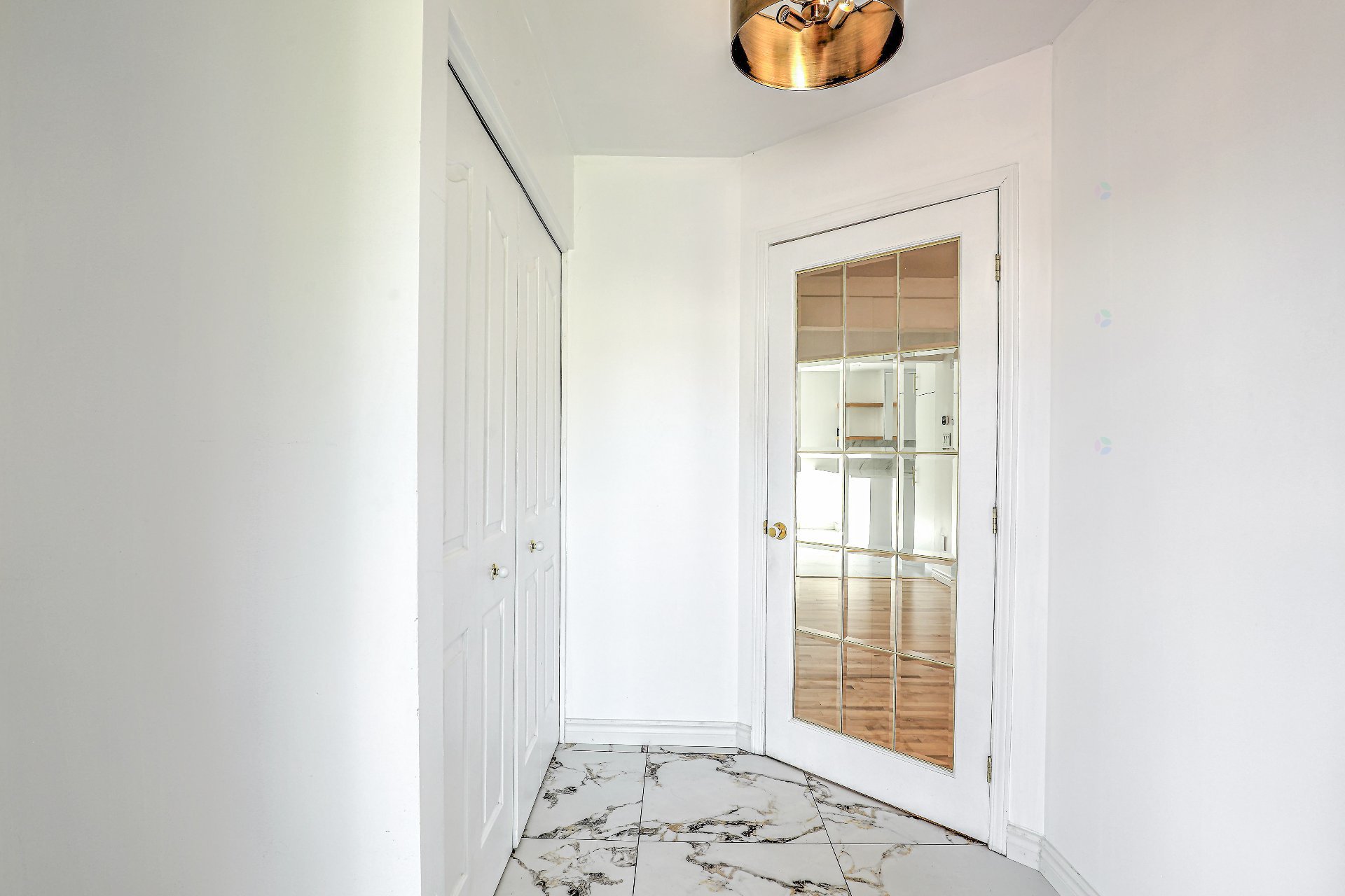 Hall d'entrée/Vestibule