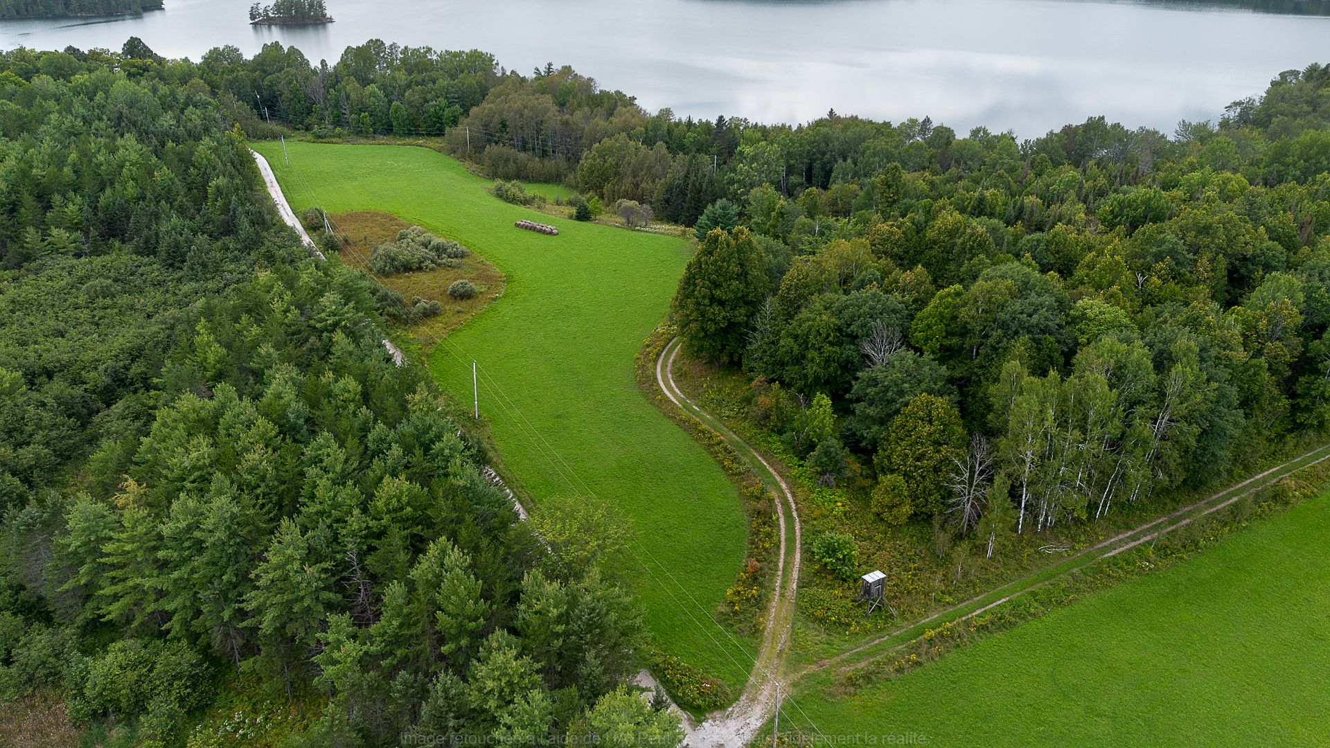 Aerial photo