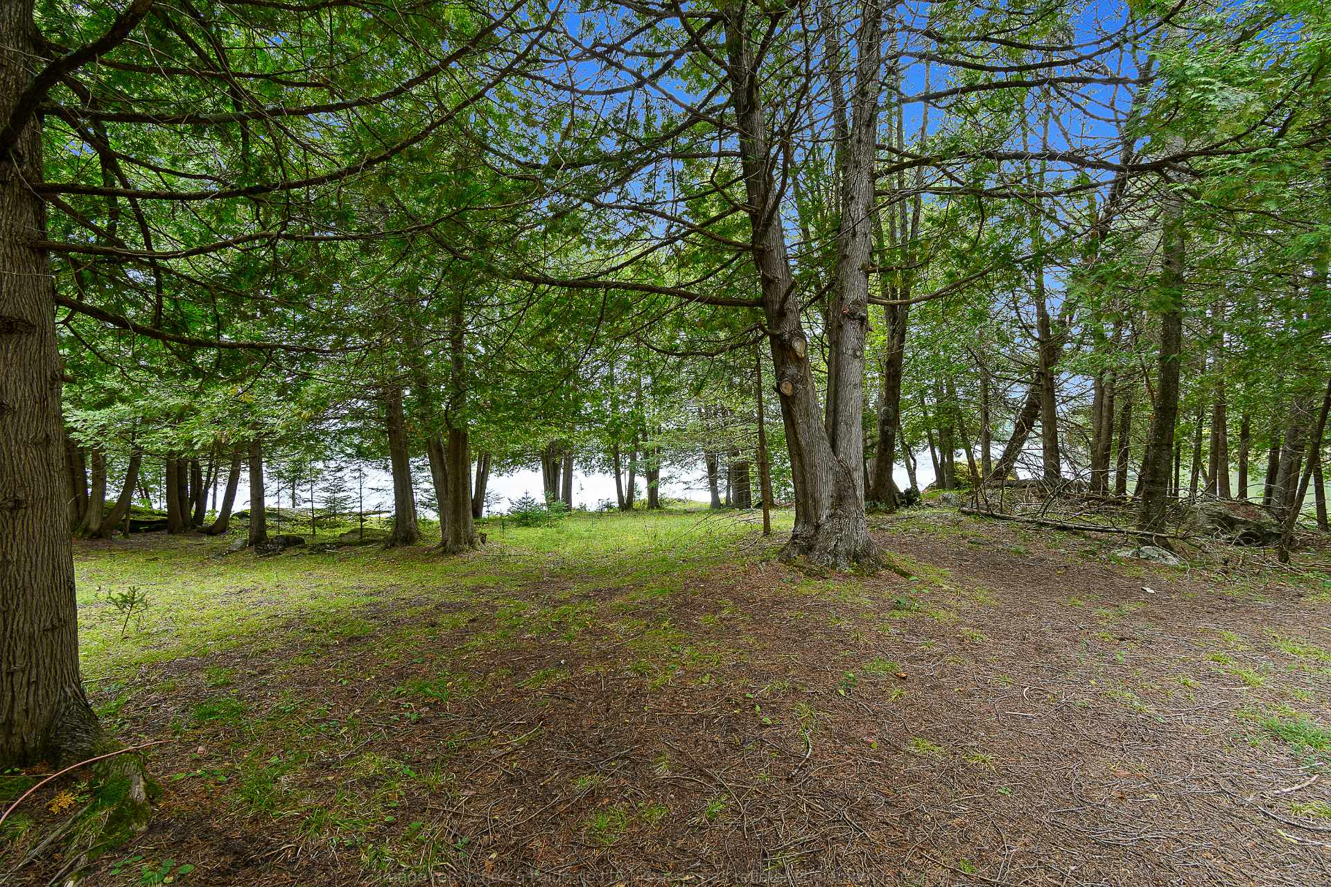 Land/Lot