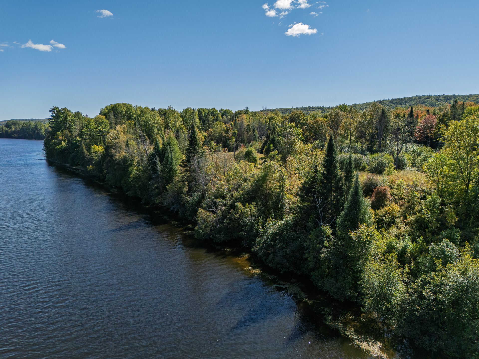 Bord de l'eau