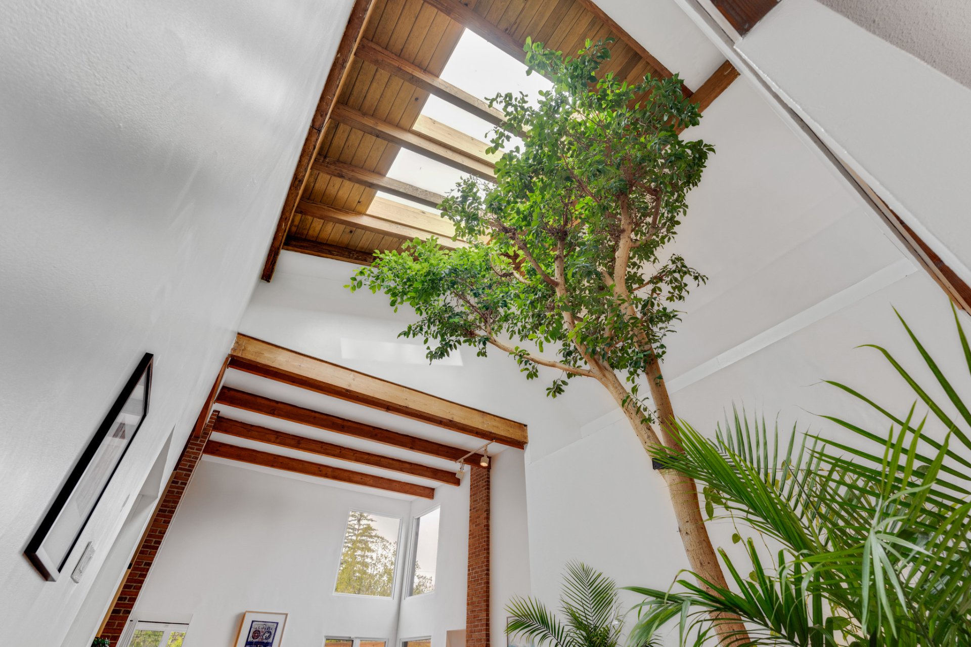 Other - Atrium